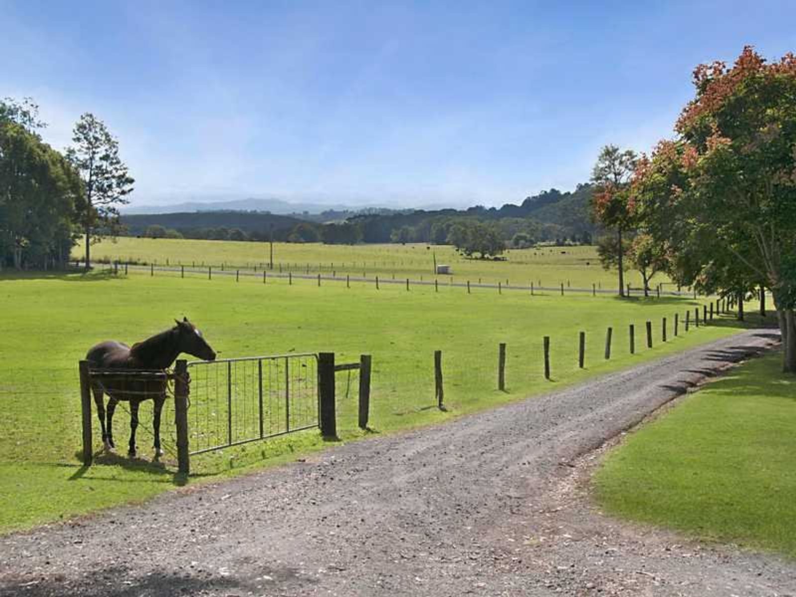 723 Houghlahans Creek Rd, Pearces Creek - Thumbnail 6