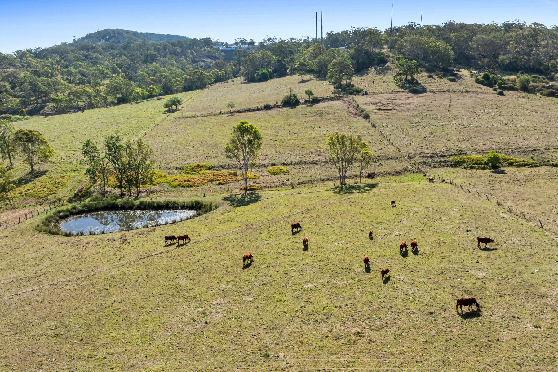 394 Preston Boundary Road, Preston QLD 4352, Preston - Thumbnail 7