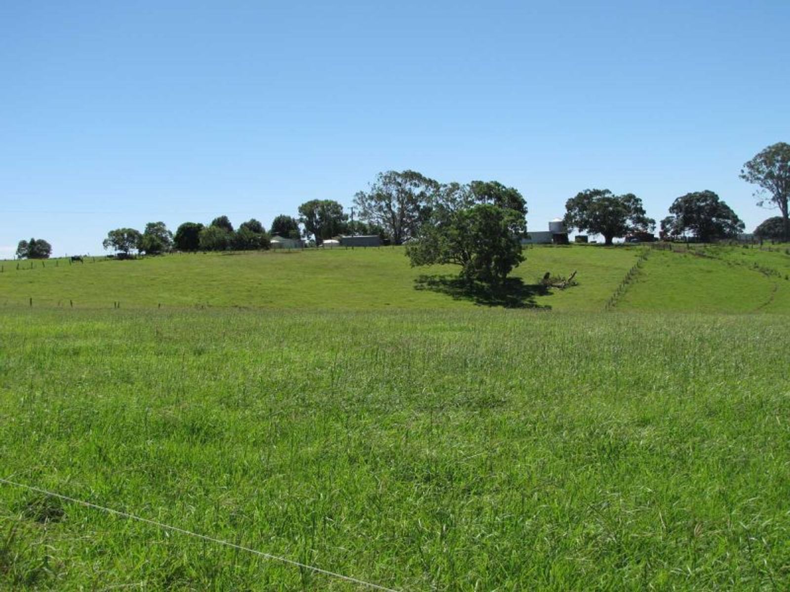 135 Lees Lane, Hogarth Range - Thumbnail 5
