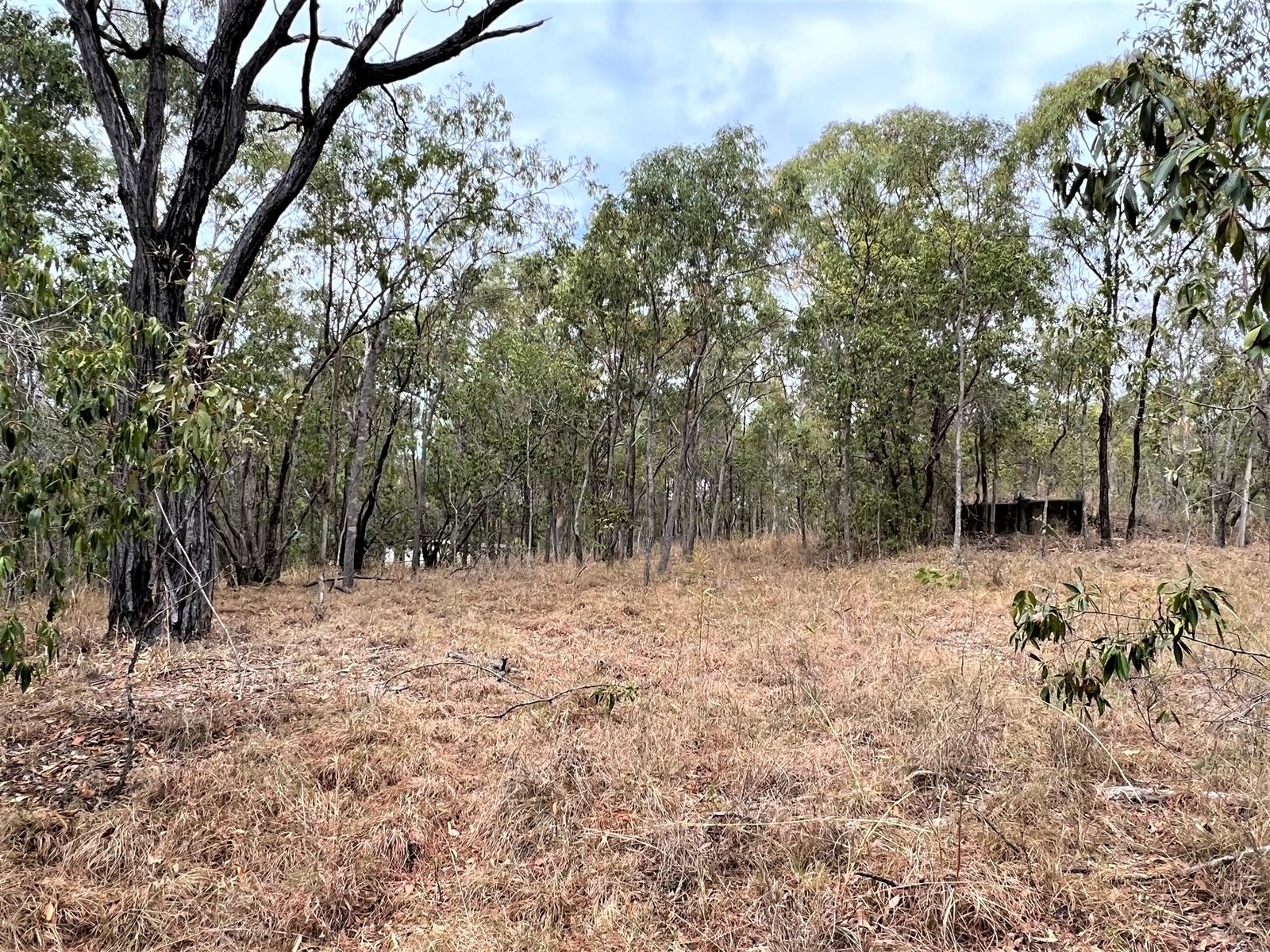36 Flaggy Rock Road, Clairview QLD 4741, Clairview - Thumbnail 3