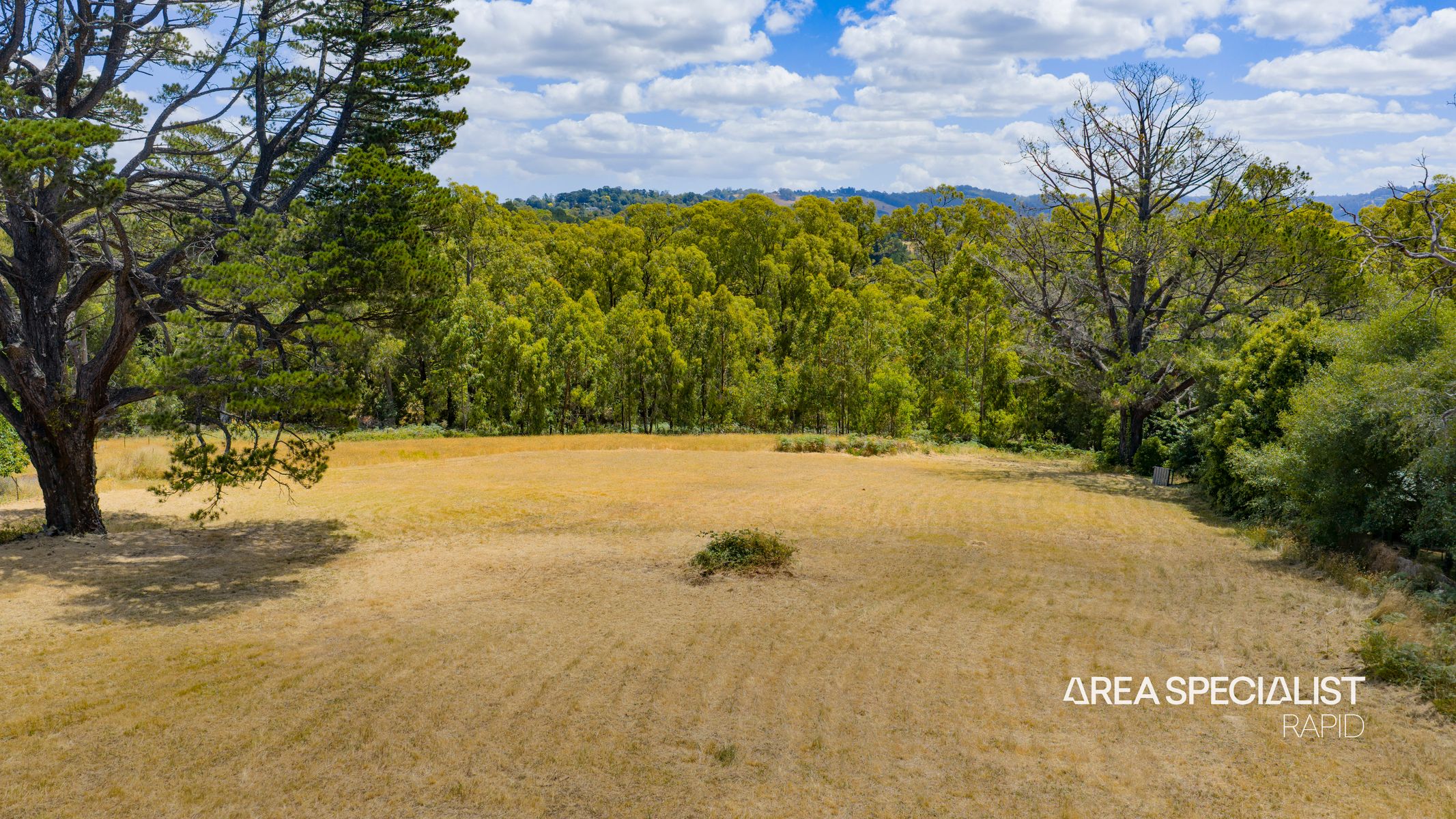 31 Avon Road, Avonsleigh, Avonsleigh - Thumbnail 5