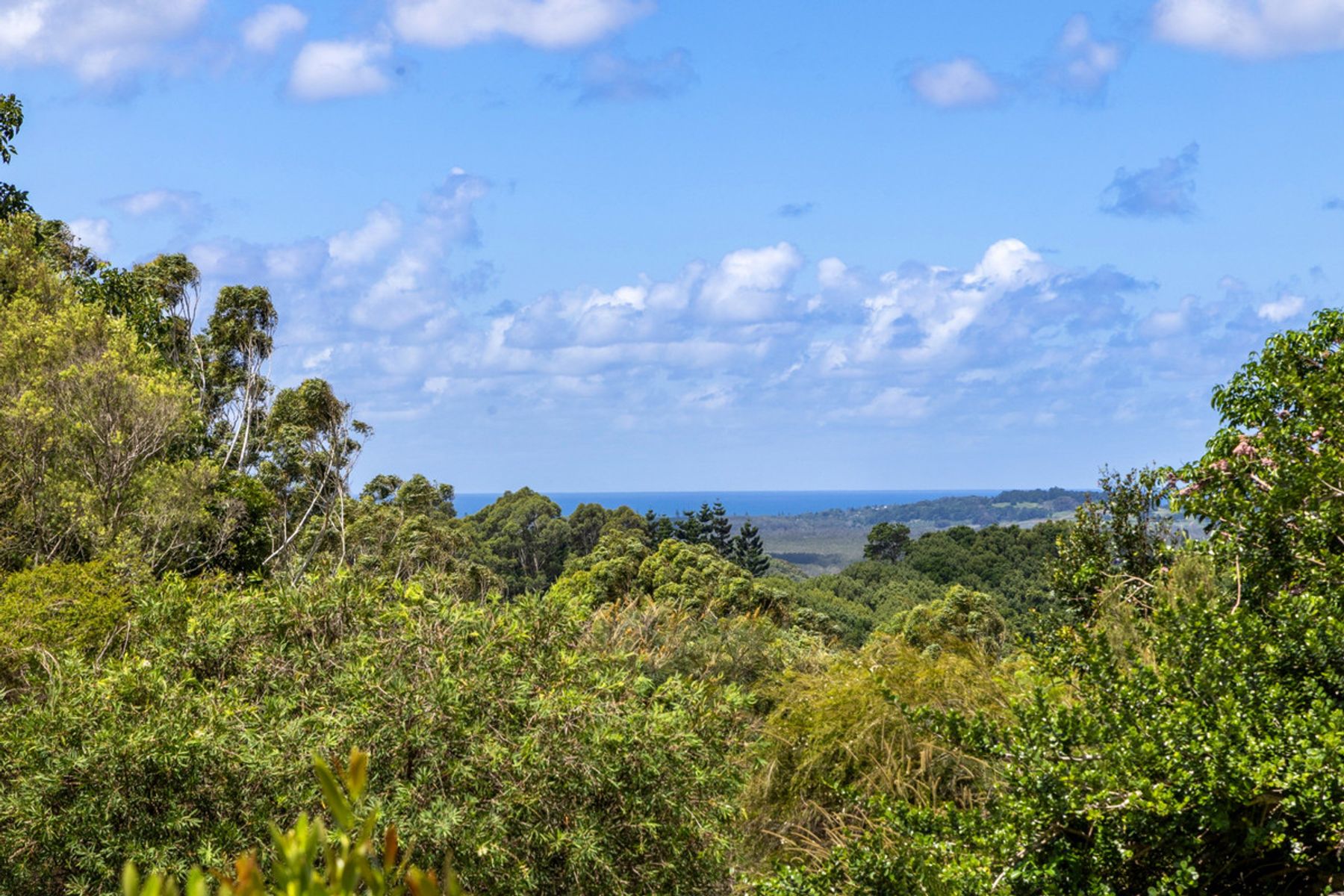 142 Phoenix Drive, Tintenbar NSW 2478, Tintenbar - Thumbnail 2