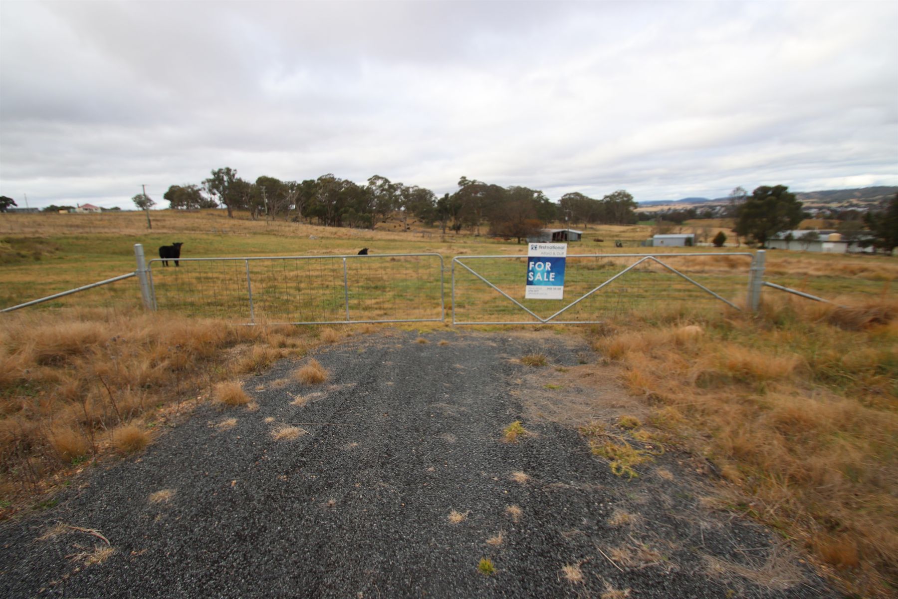 112 Sunnyside Loop Road, Tenterfield NSW 2372, Tenterfield - Thumbnail 2