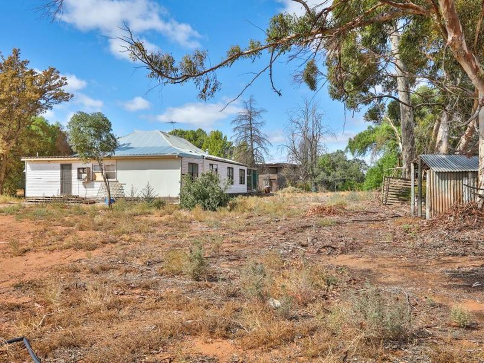 52 McEdward Street, Birdwoodton - Thumbnail 4