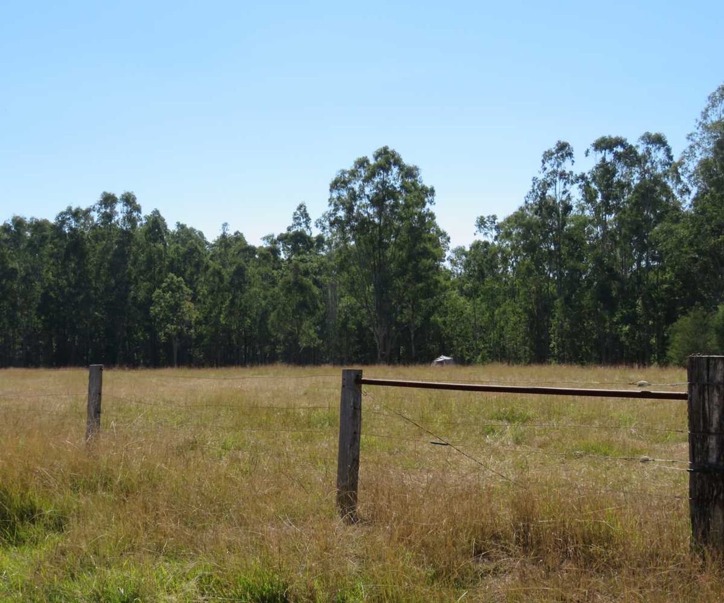 Lots 24 & 27 Deadman Creek Road, Tabulam, Tabulam - Thumbnail 4