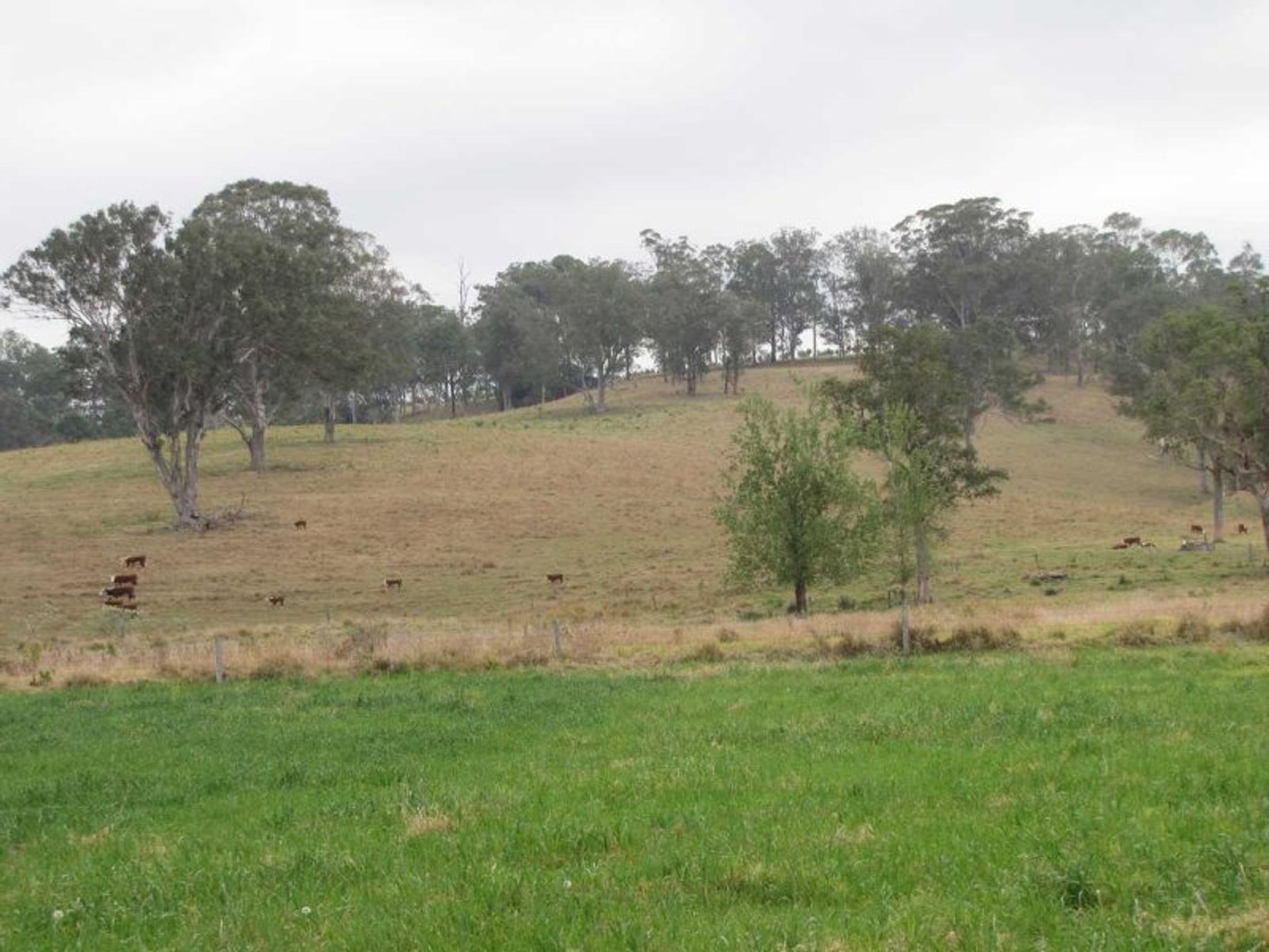 271 Bingeebeebra Creek Road, Mummulgum - Thumbnail 6