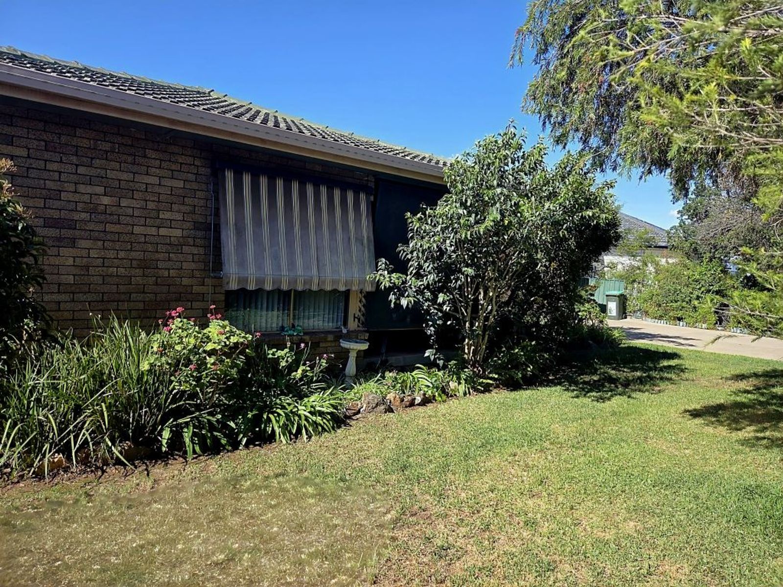 31 Thompson Street, Muswellbrook - Image 1