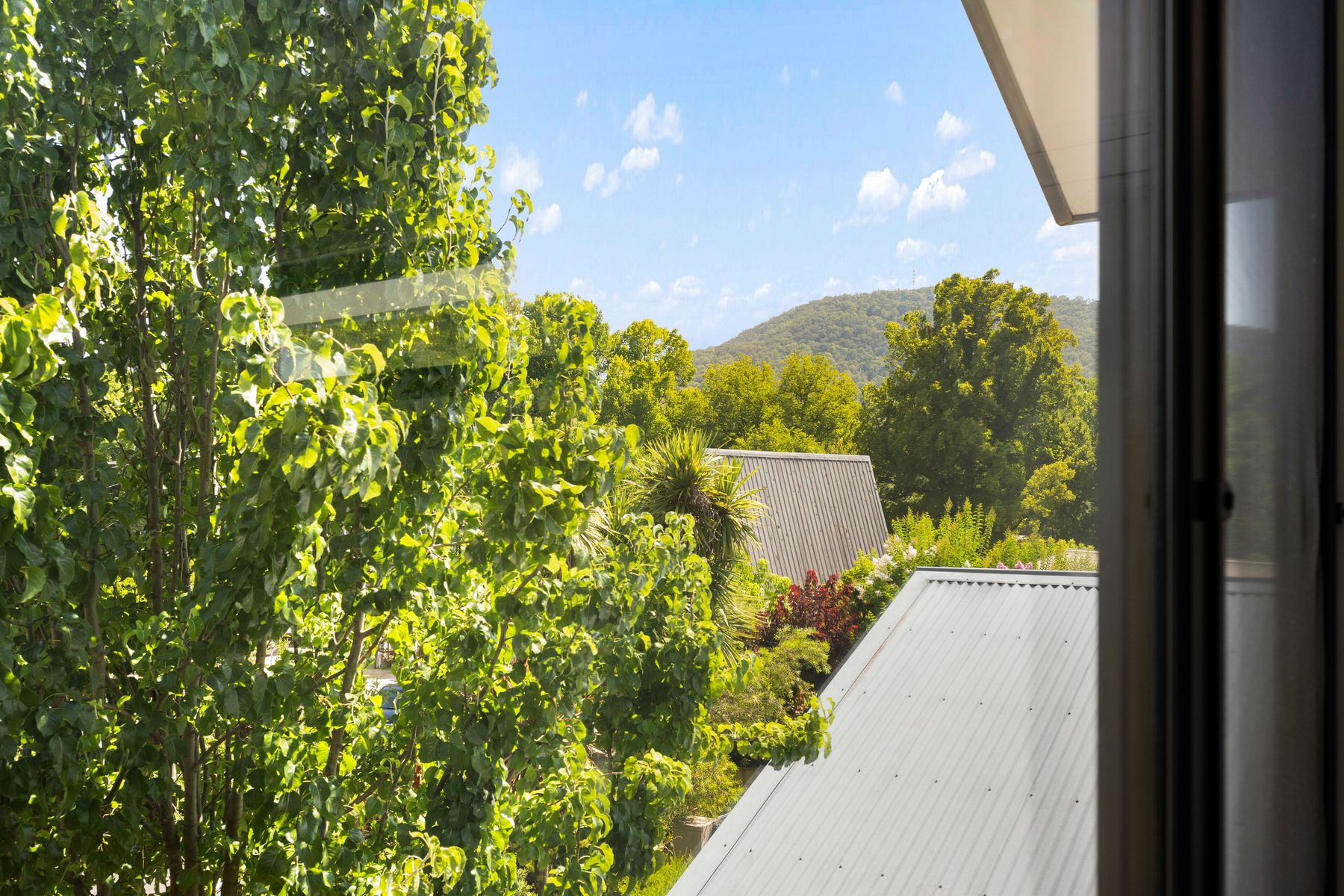 1/4 Butler Court, Bright VIC 3741, Bright - Thumbnail 8