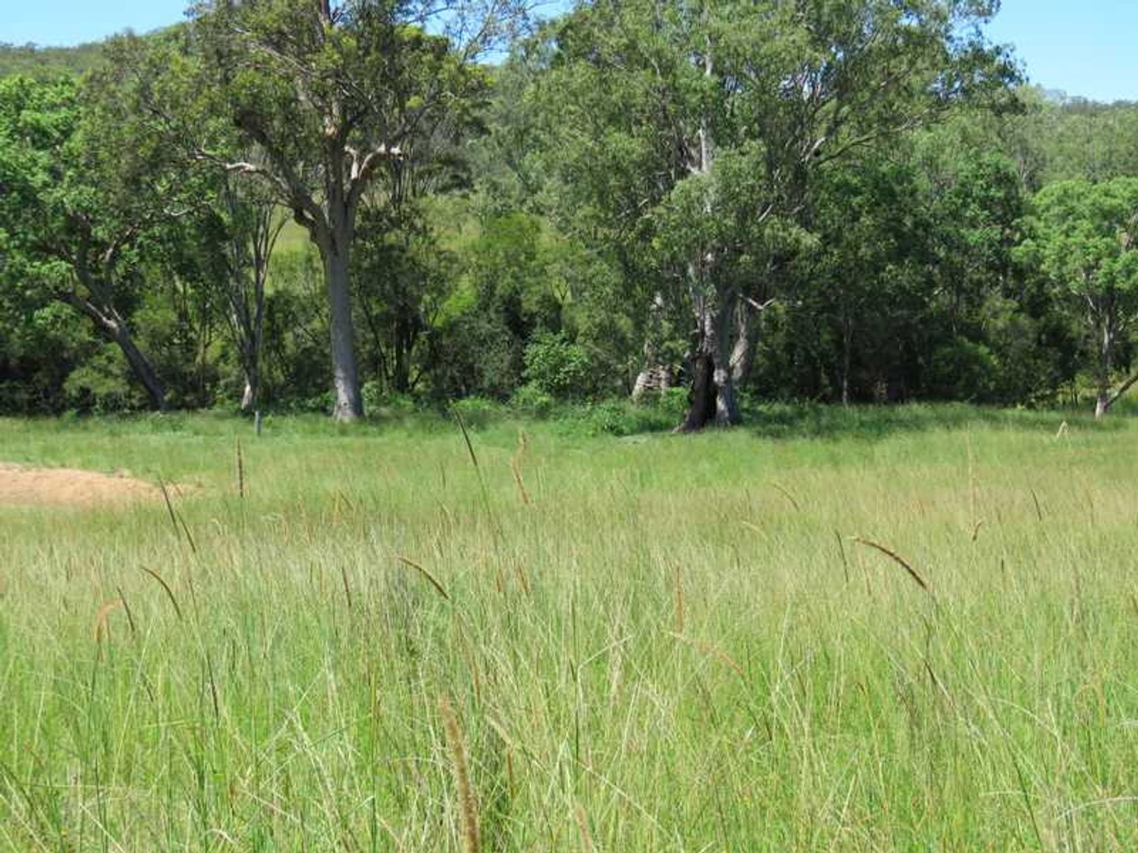 Lot 9 Lot 9 Plain Station Road, Tabulam - Thumbnail 4