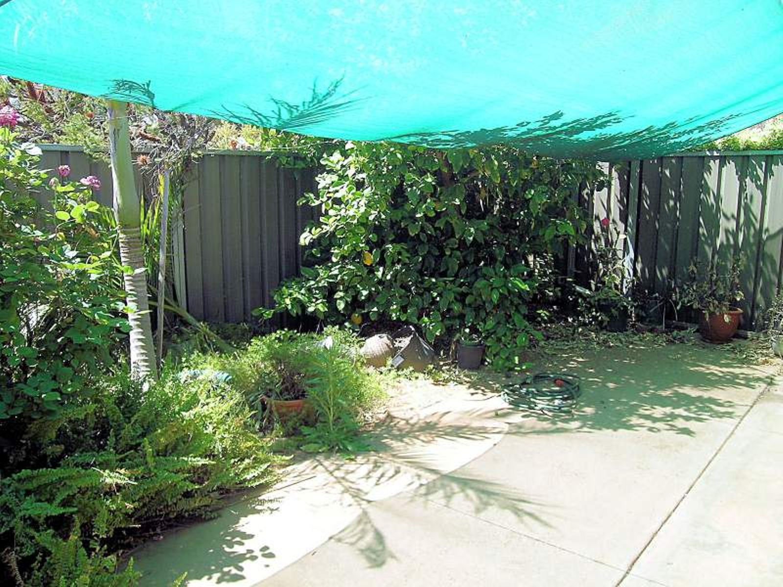 1/7 Caloola Court, Mildura - Thumbnail 3