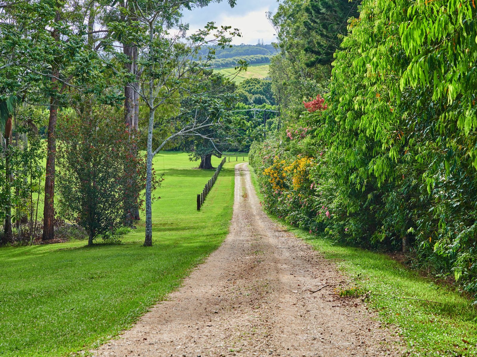 853 Bangalow Rd, Talofa - Thumbnail 5