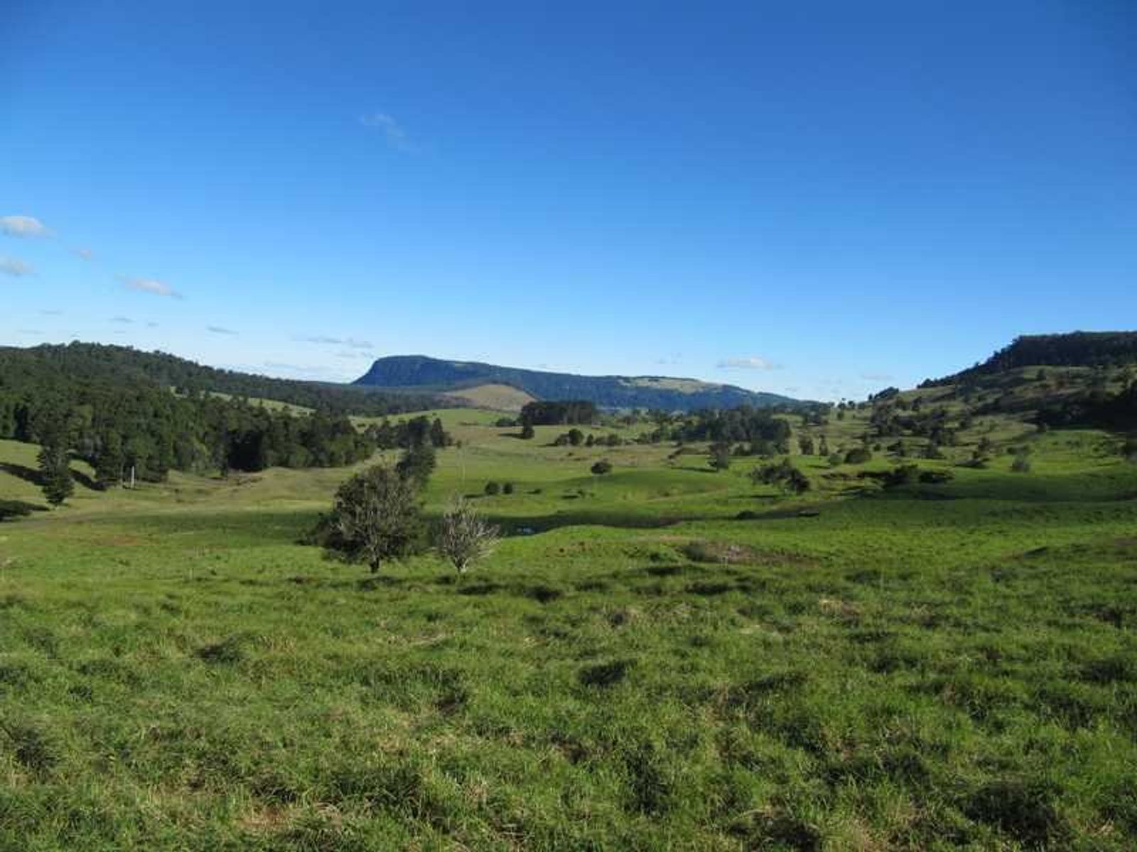 2673 Spring Creek Road, Killarney, QLD 4373, The Head - Thumbnail 4