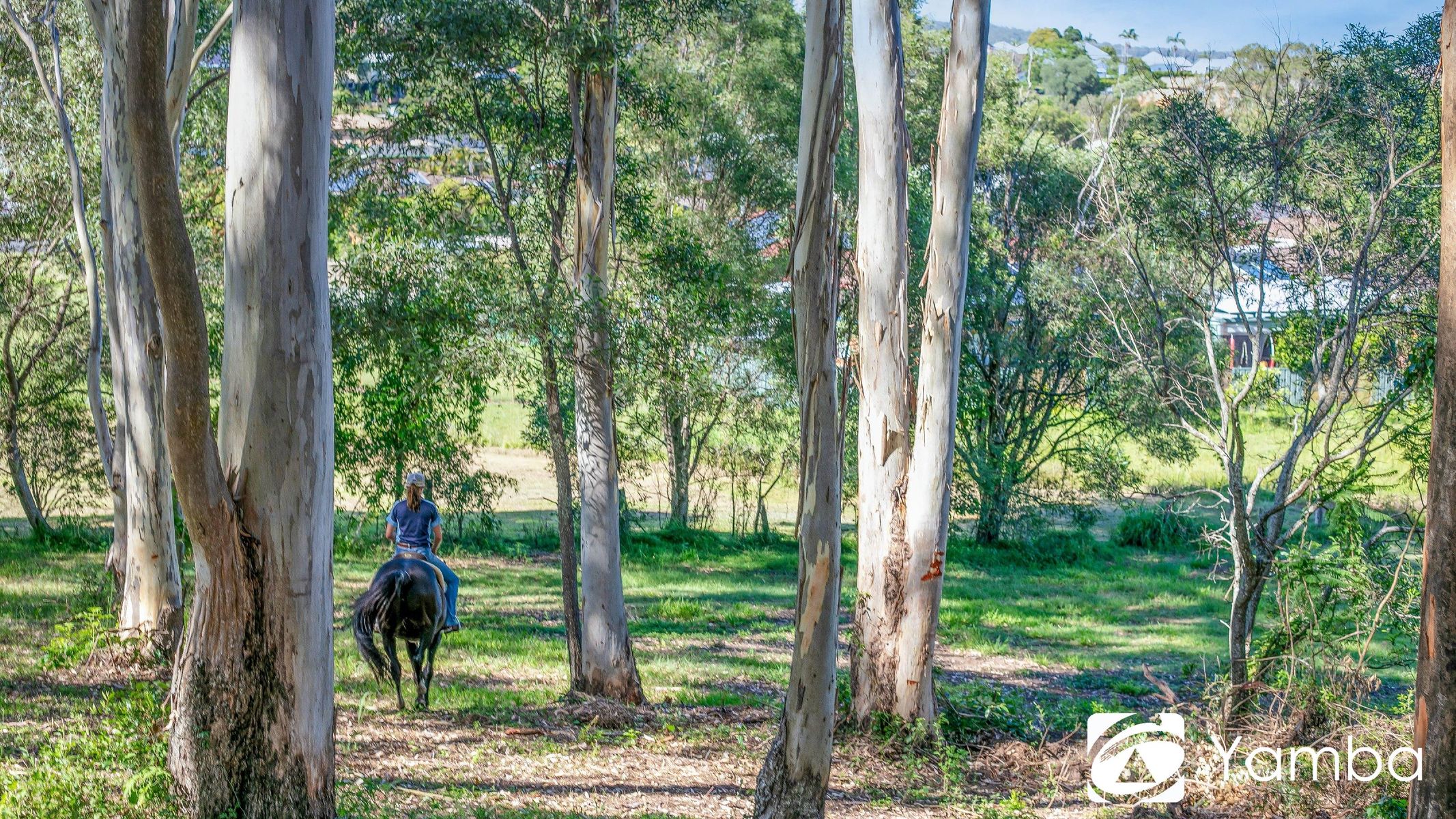 50/4 Iona Close, Maclean NSW 2463, Maclean - Thumbnail 4