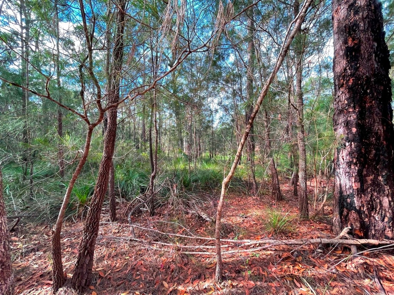 Lot 313-314 Glen innes Road, North Arm Cove NSW 2324, North Arm Cove - Thumbnail 4