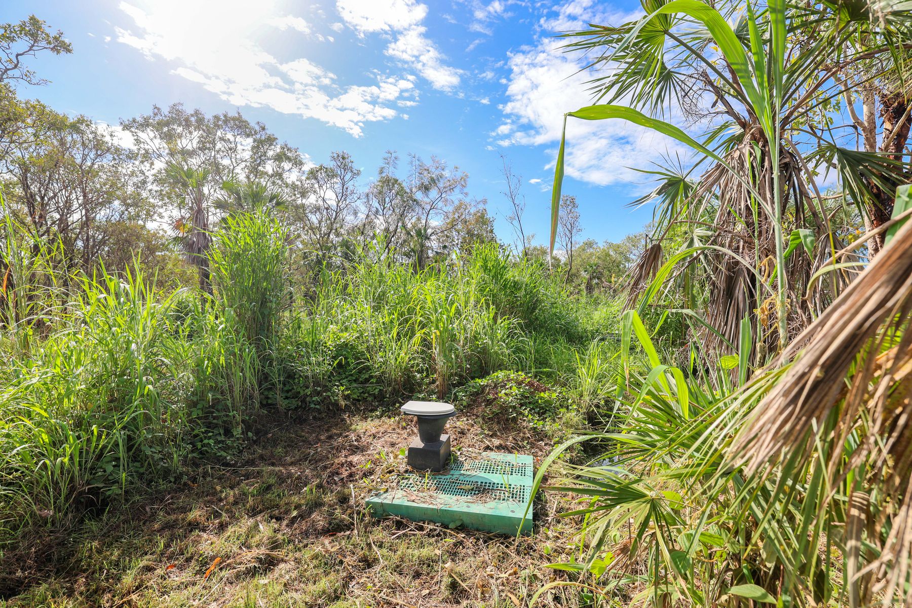 1666 Leonino Road, Darwin River NT 0841, Darwin River - Thumbnail 2