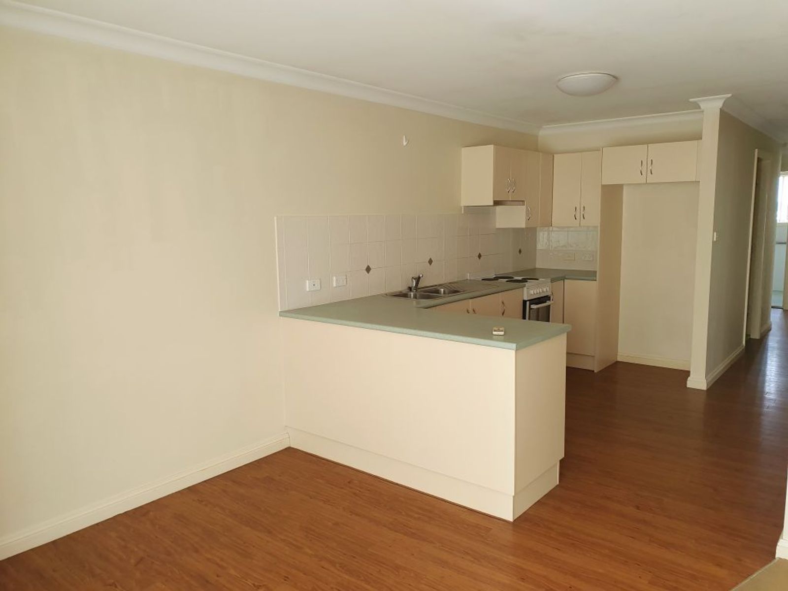 117 Hill Street, Muswellbrook NSW 2333, Muswellbrook - Thumbnail 3