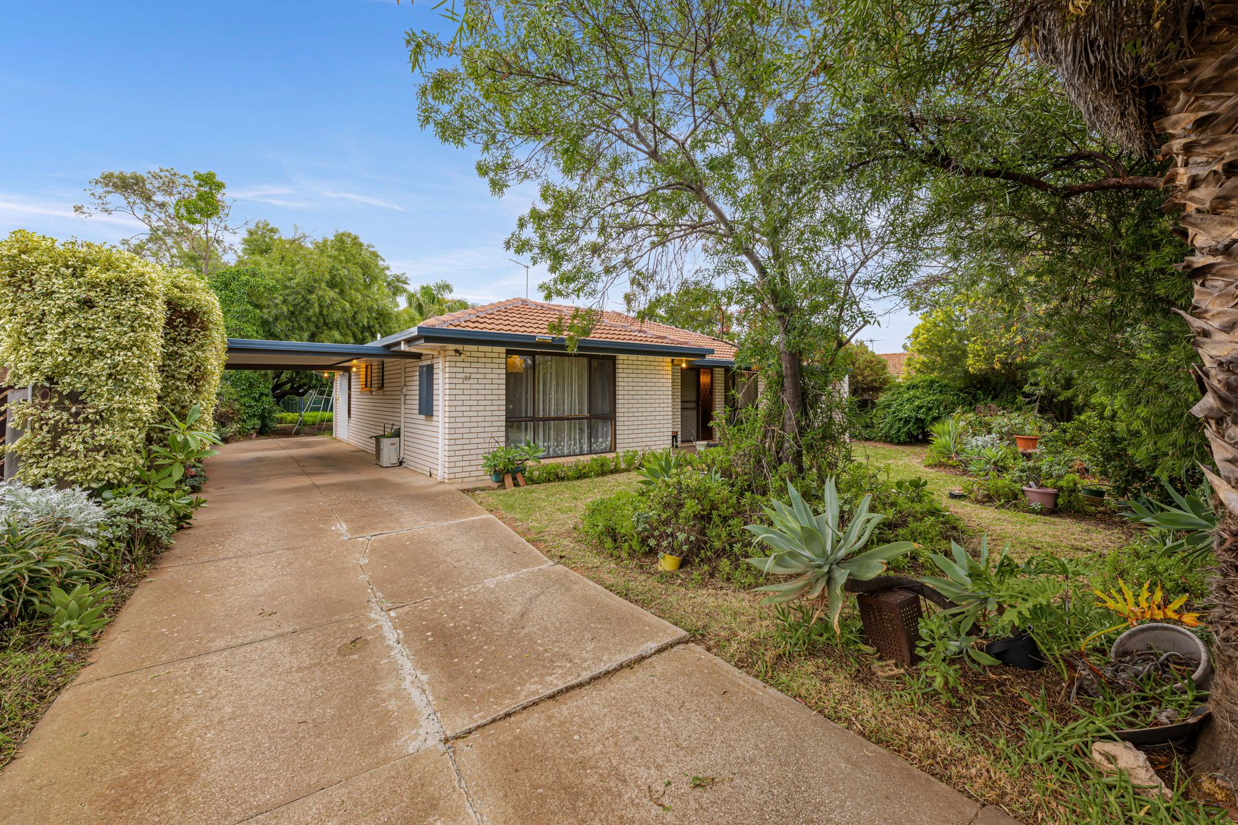 21 Pegler Avenue, Mildura - Image 1