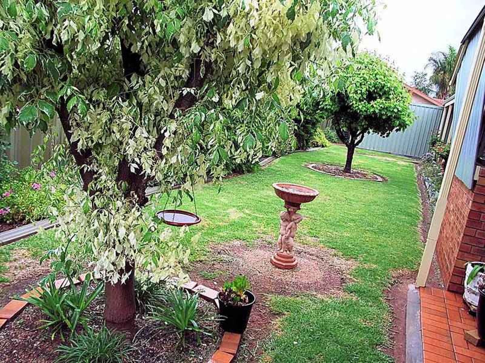 378 Walnut Avenue, Mildura - Thumbnail 3