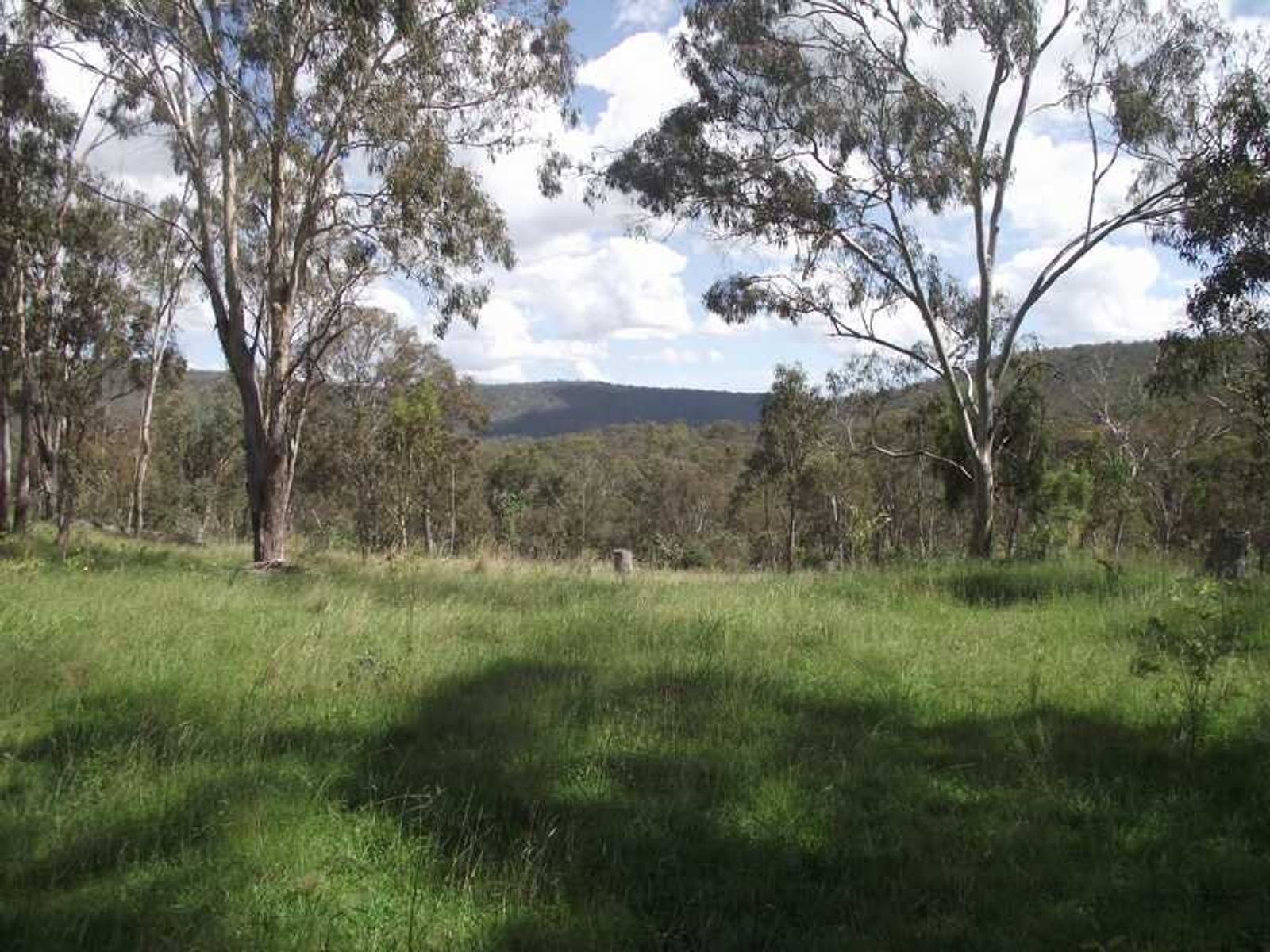 101 Mailmans Road, Warwick, QLD 4370, Warwick - Thumbnail 4