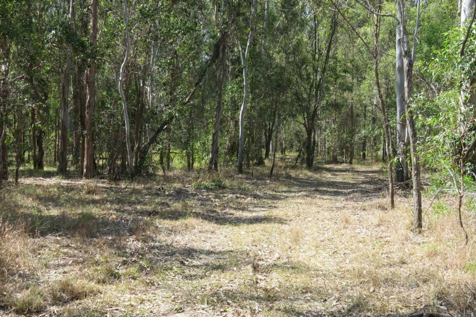 770 Elliots Road, Myrtle Creek, NSW 2469, Myrtle Creek - Thumbnail 5
