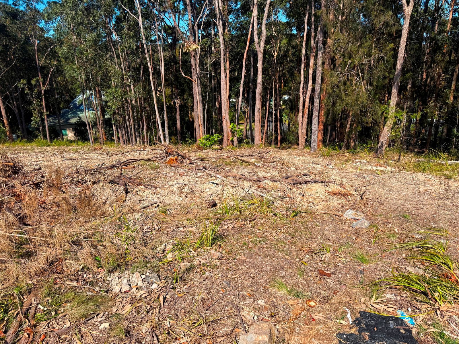 39 Curlew Crescent, Nerong NSW 2423, Nerong - Thumbnail 6