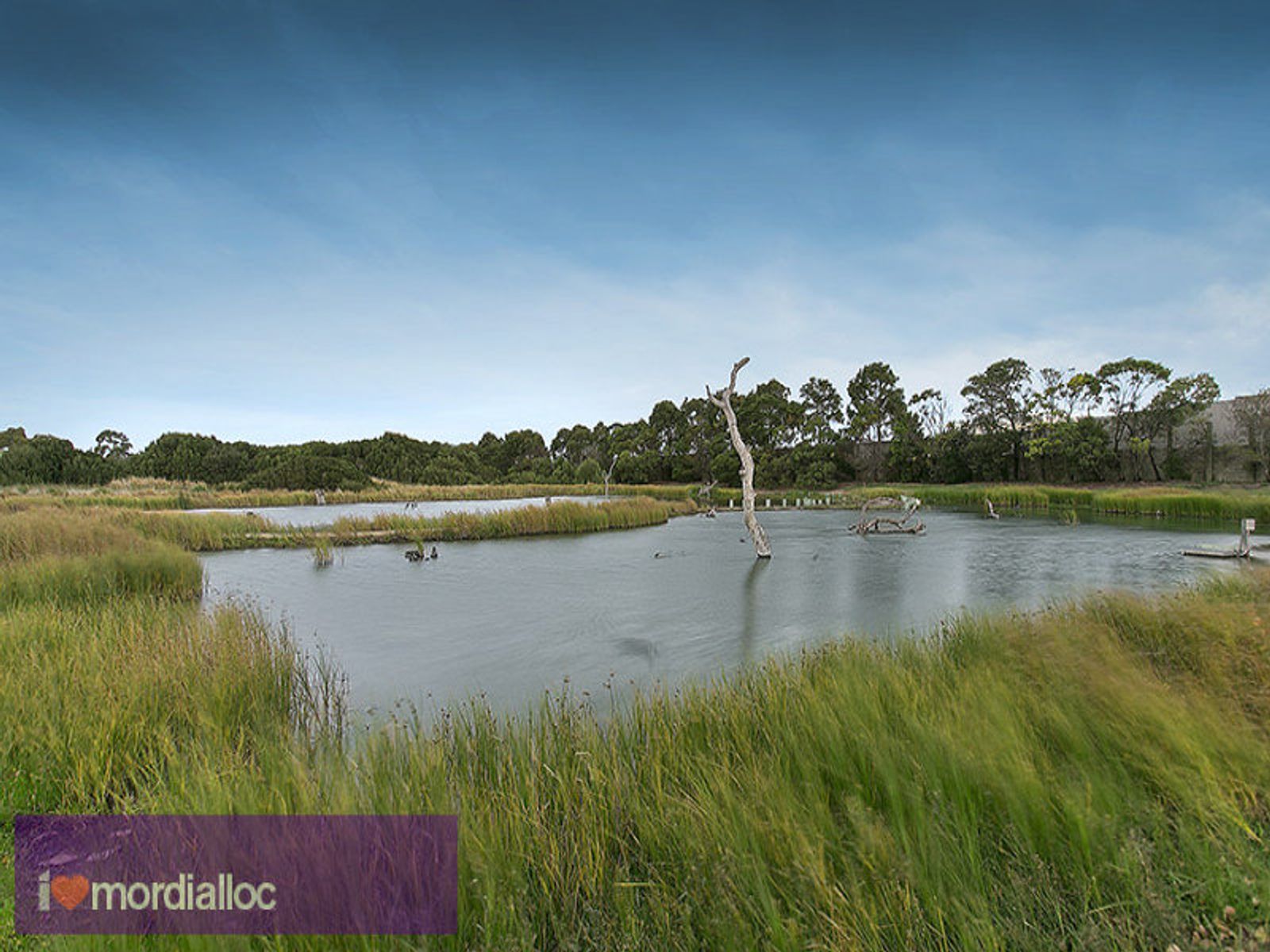 64 Hallmark Road, Mordialloc, VIC 3195, Mordialloc - Thumbnail 8