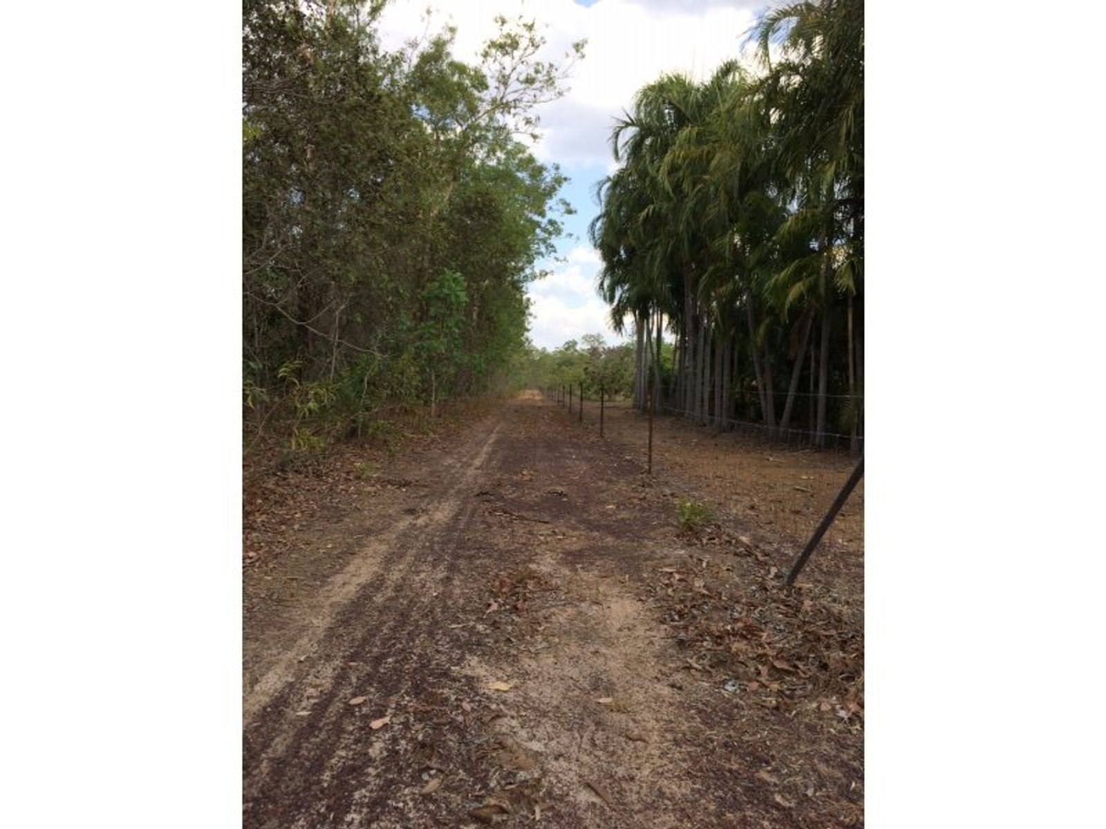 78 Kareela Drive, Girraween NT 0836, Girraween - Thumbnail 6