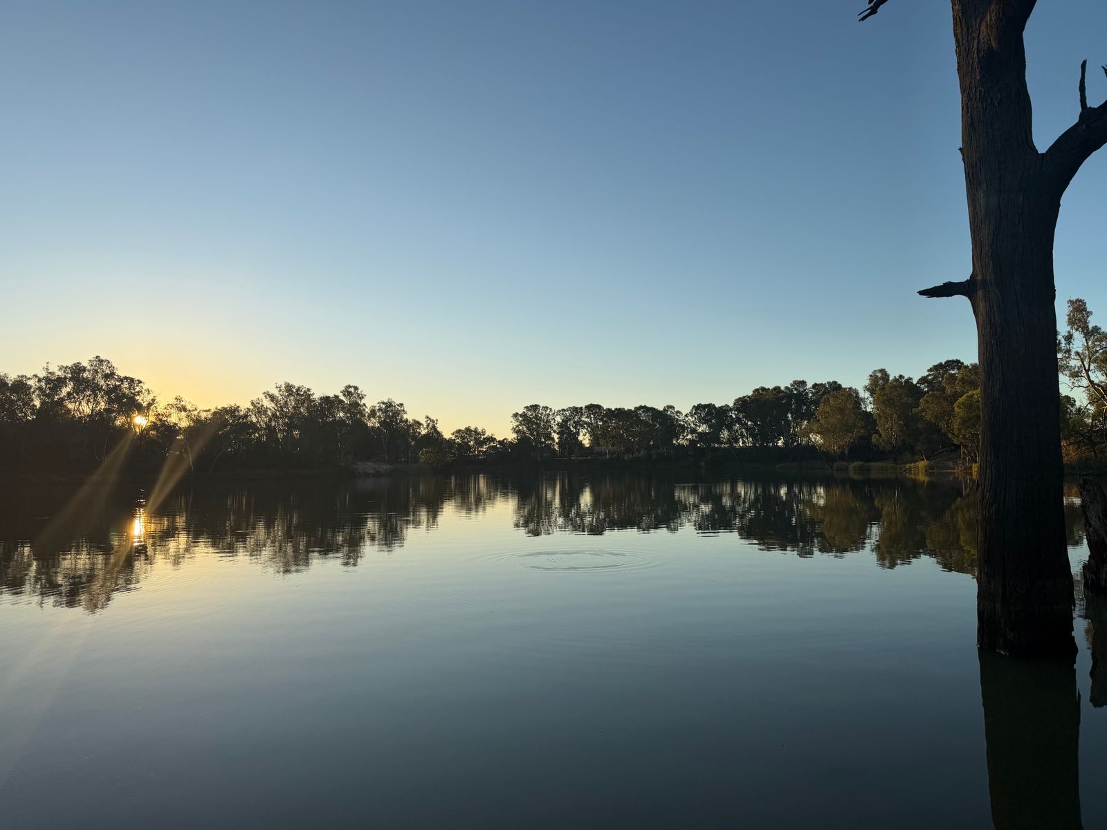 Lot 2 / 5669 Sturt Highway, Monak NSW 2738, Monak - Thumbnail 2