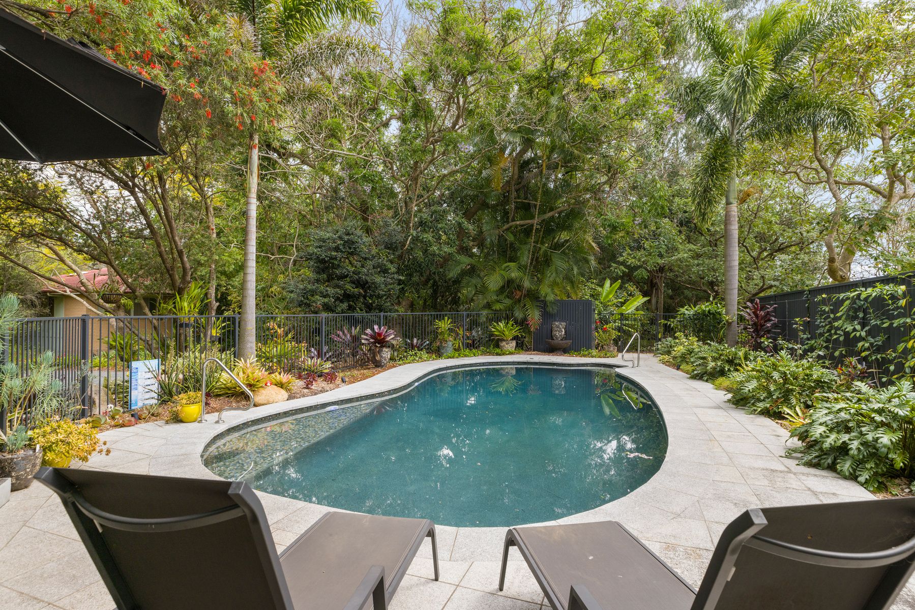 33 Kinross Road, Thornlands QLD 4164, Thornlands - Thumbnail 3