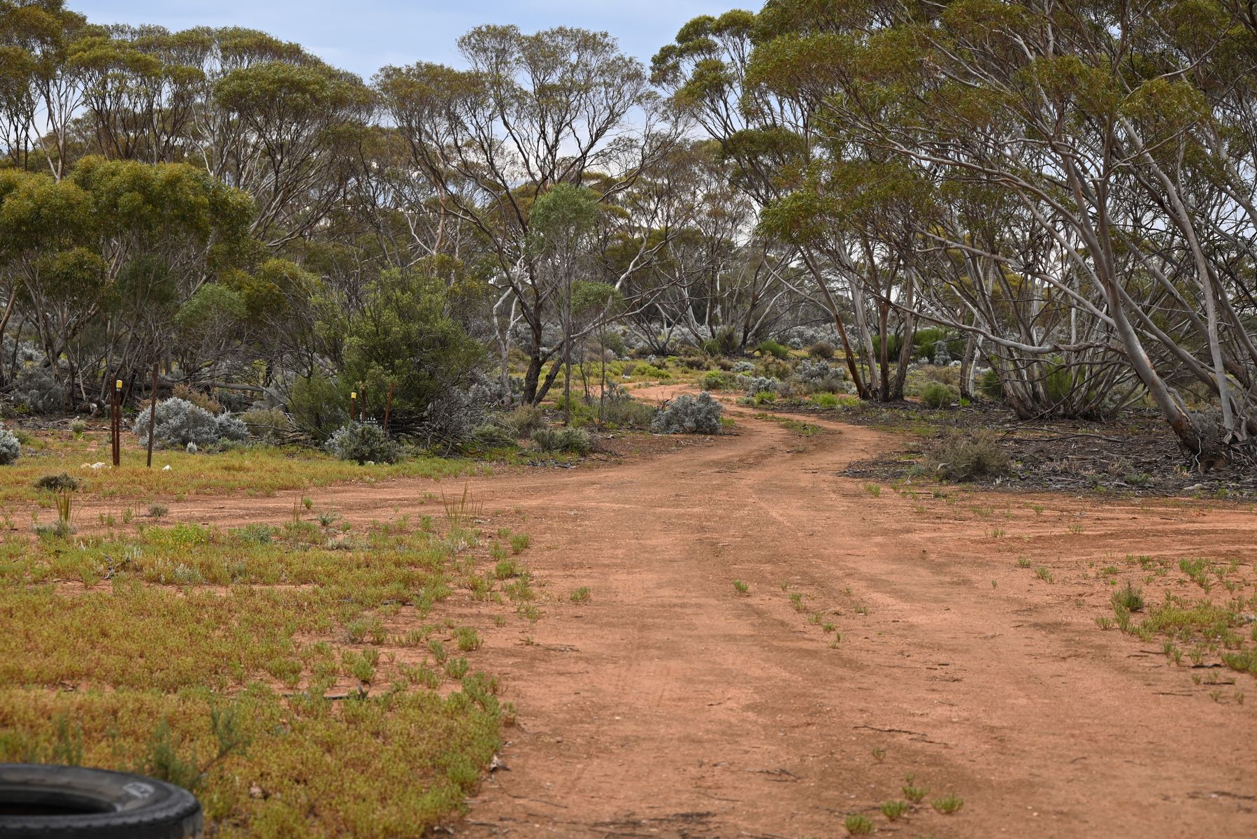 Lot 291 Pat Hydes Road, Morgan - Image 1