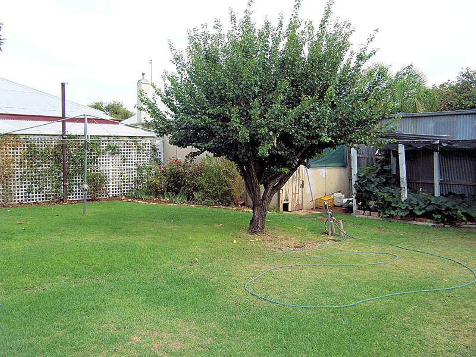 147 Almond Avenue, Mildura - Thumbnail 2
