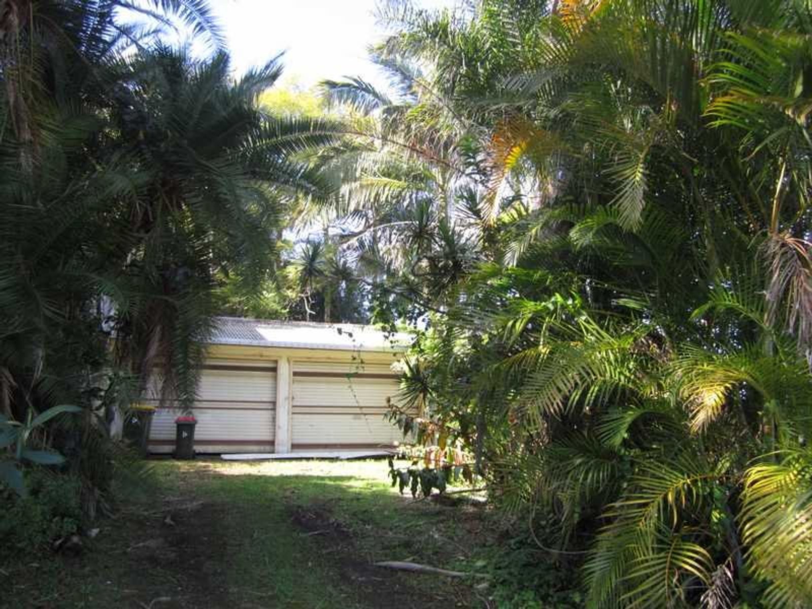 5 Thomas Street, Bangalow - Thumbnail 6