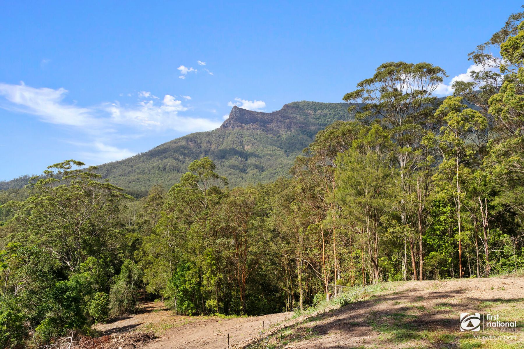 185 Everinghams Road, Pumpenbil NSW 2484, Pumpenbil - Thumbnail 8