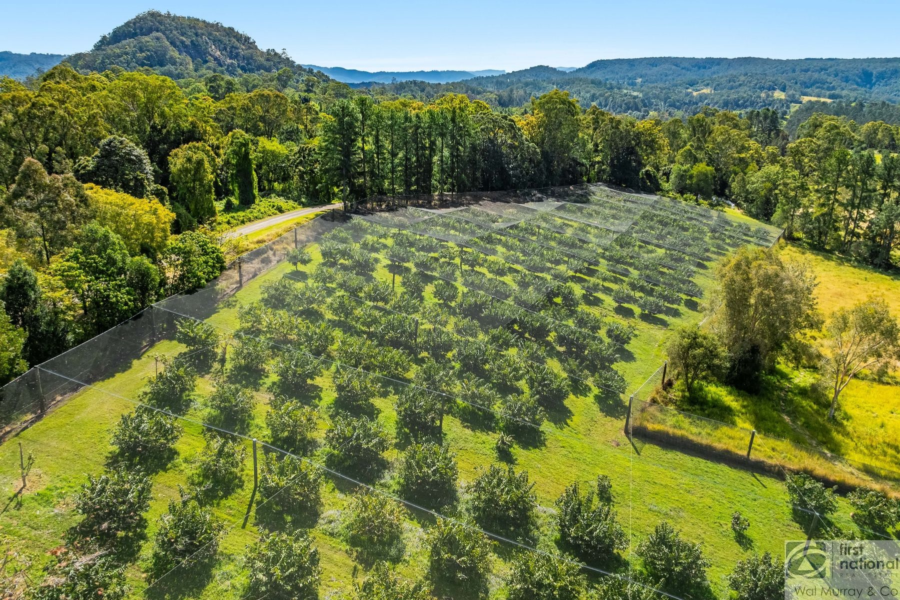 446 Gwynne Road, Georgica NSW 2480, Georgica - Thumbnail 3