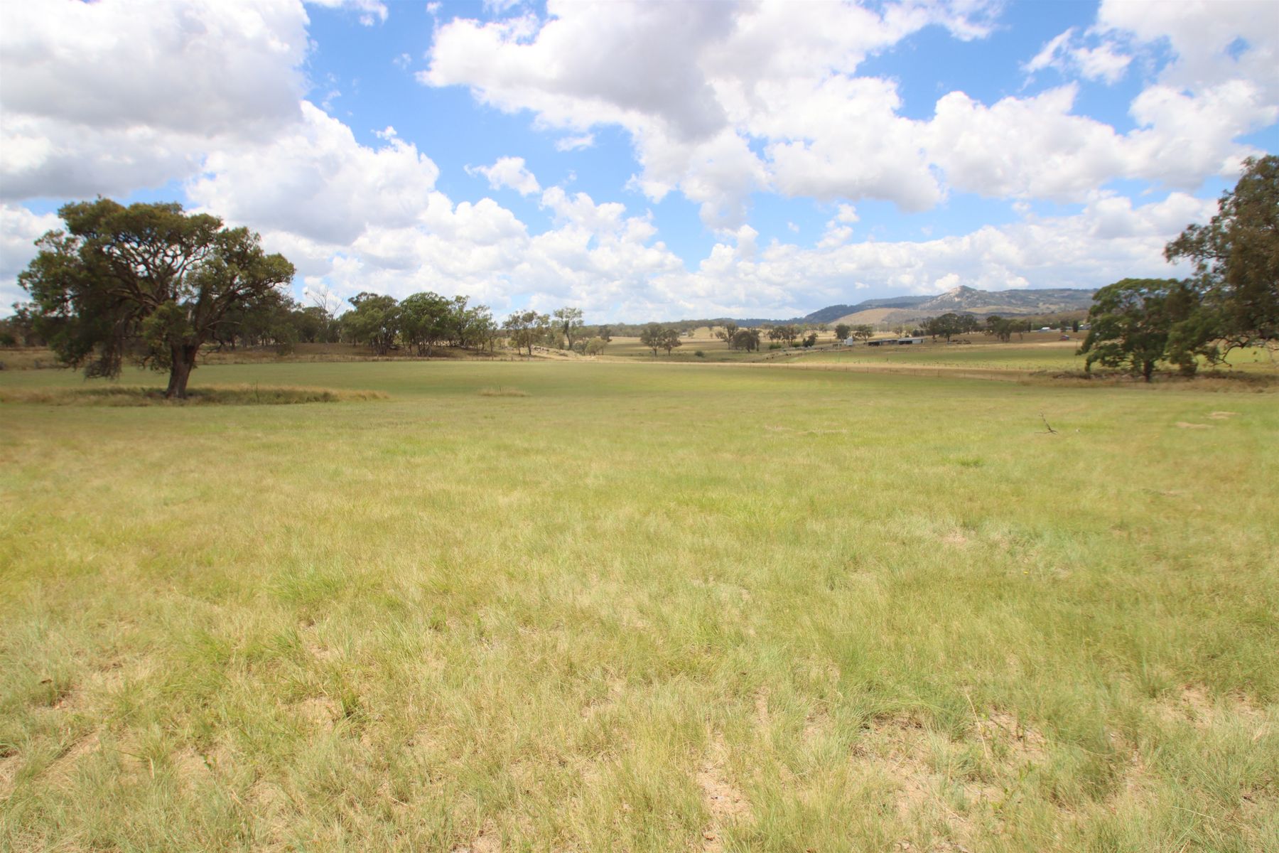 110B Sunnyside Platform Road, Tenterfield NSW 2372, Tenterfield - Thumbnail 4