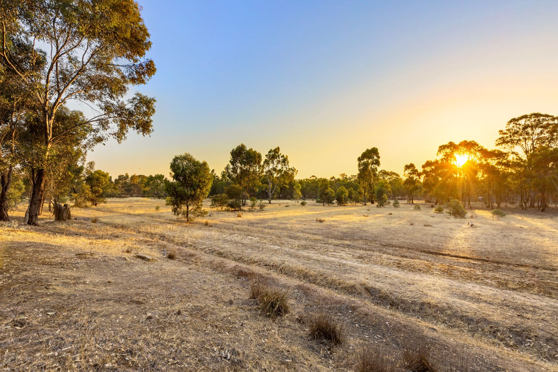 51 Bracewell Street, Maiden Gully VIC 3551, Maiden Gully - Thumbnail 4