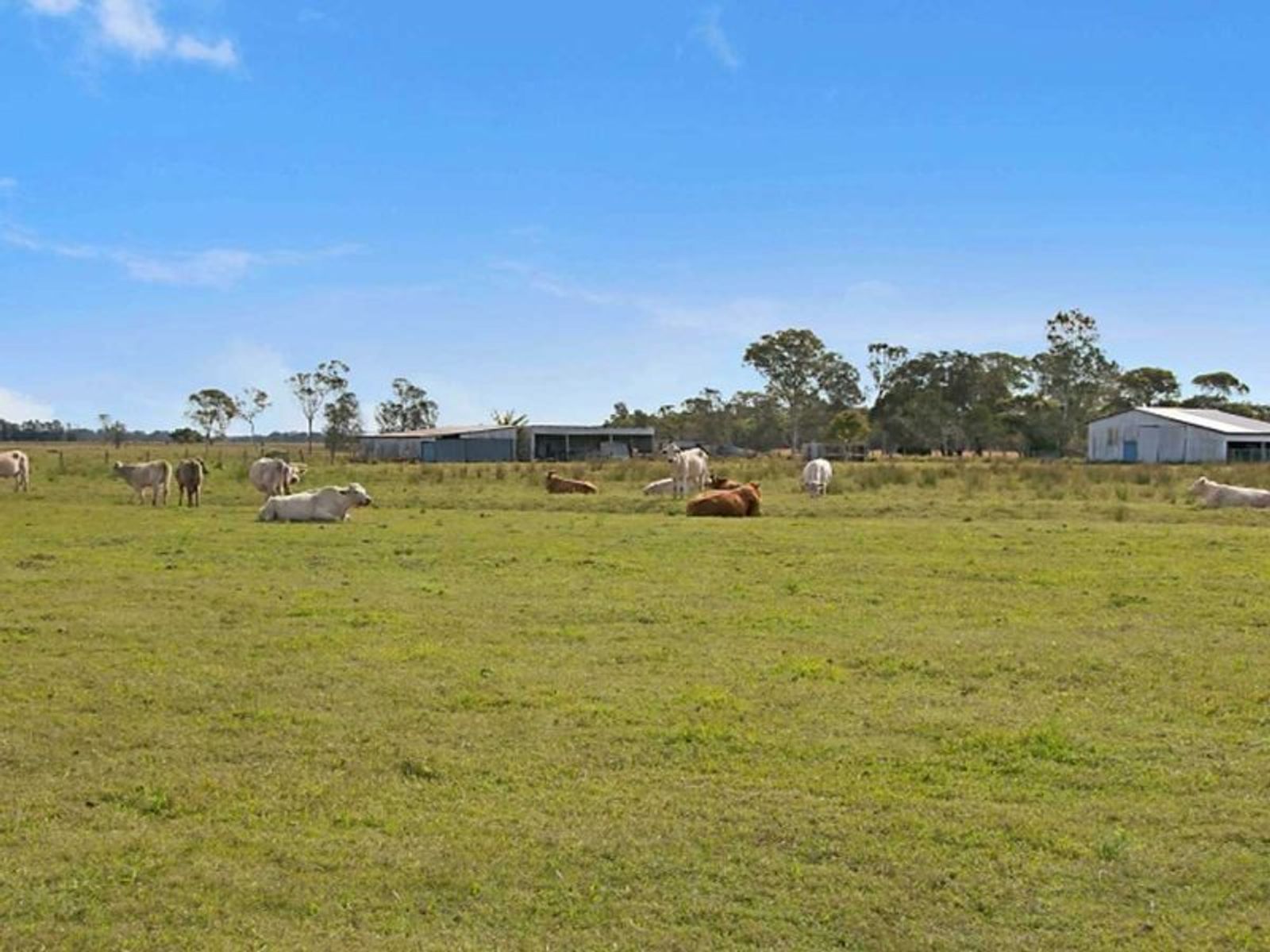 60 Reynolds Rd, Codrington - Thumbnail 7