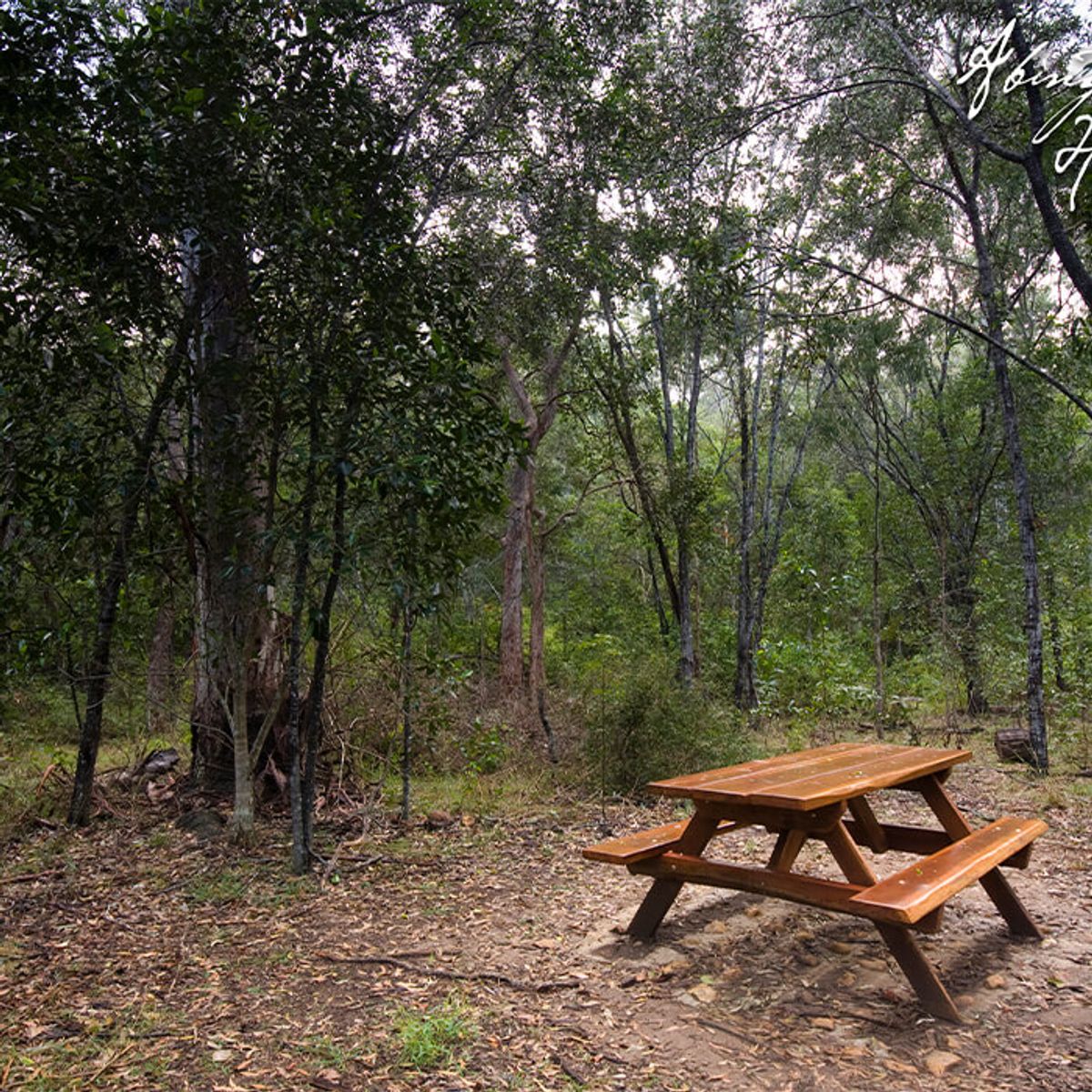 STAGE 8 ABINGTON HEIGHTS ESTATE, North Isis QLD 4660, North Isis - Thumbnail 6