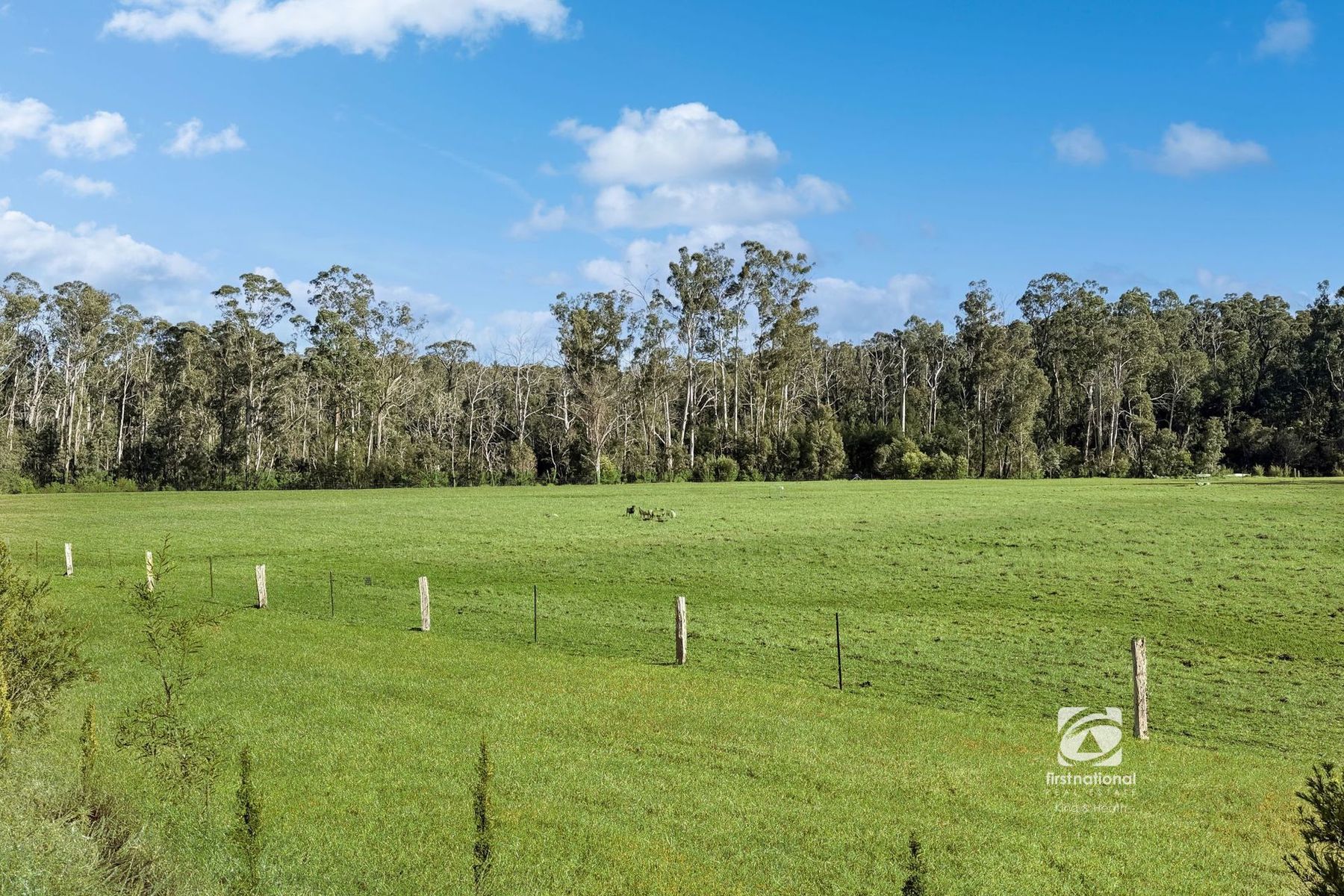 365 Bruthen-Buchan Road, Nowa Nowa VIC 3887, Nowa Nowa - Thumbnail 6