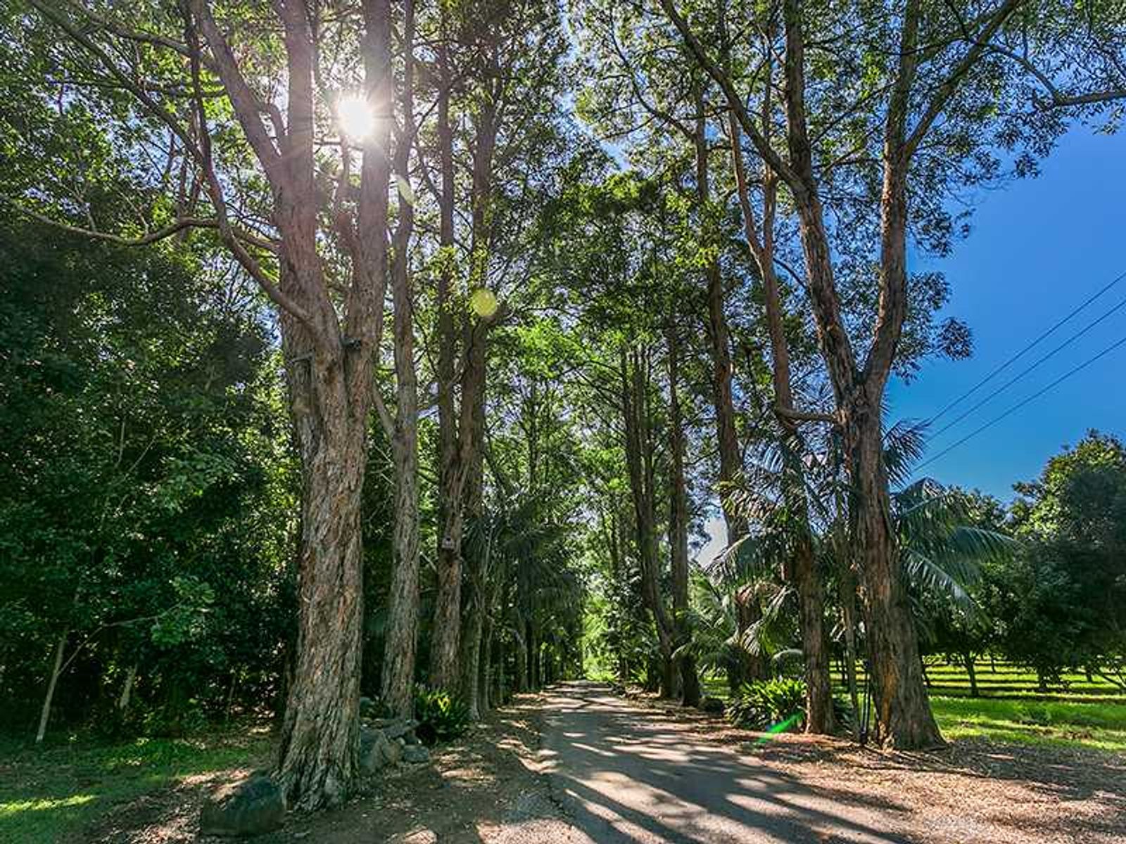 571 Pearces Creek Rd, Alstonvale - Thumbnail 5