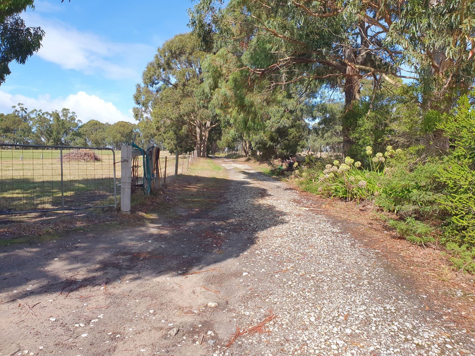 710 Moe, Tanjil South - Image 1