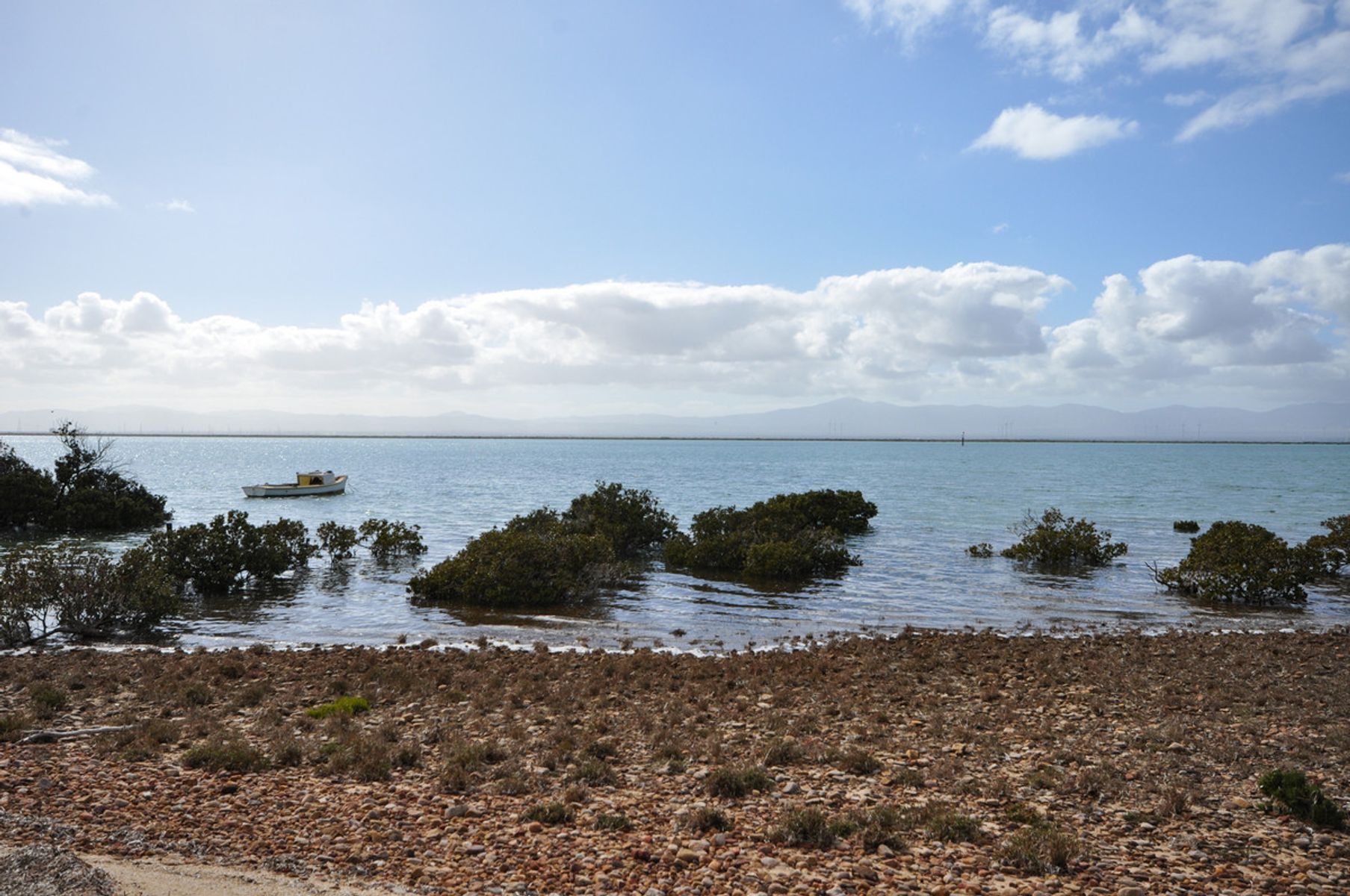 3 Stevens Court, Commissariat Point SA 5700, Commissariat Point - Thumbnail 6