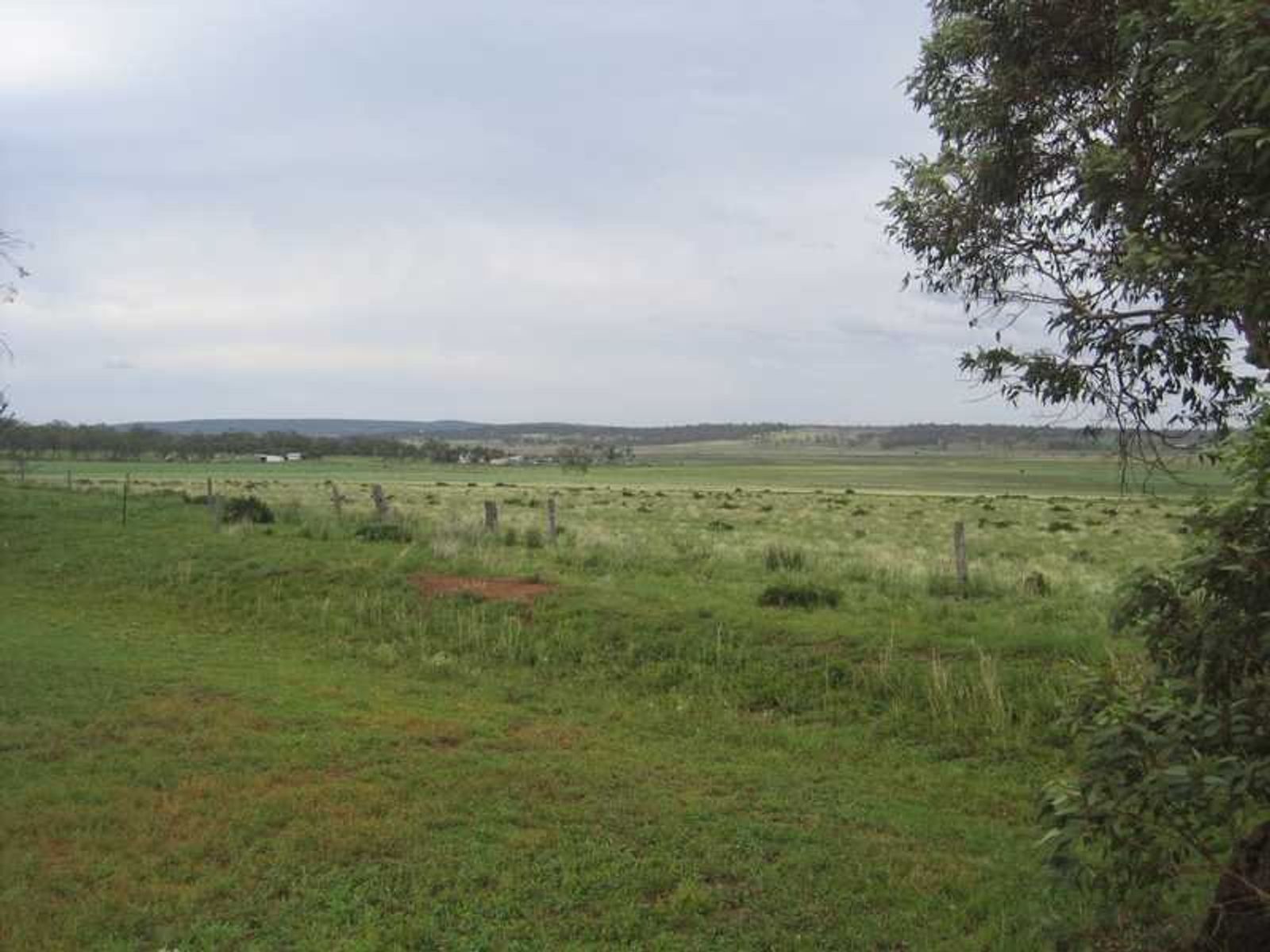 Warwick QLD 4370, Warwick - Thumbnail 6