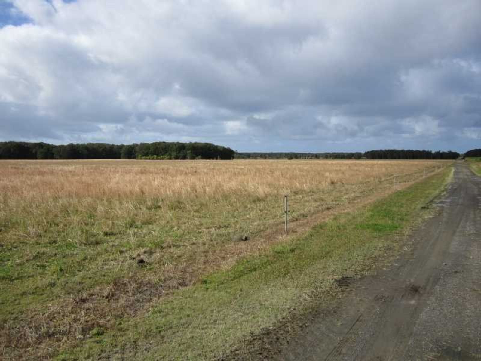 Lot 4 DP1034816 Newrybar Swamp Road, Lennox Head - Thumbnail 6