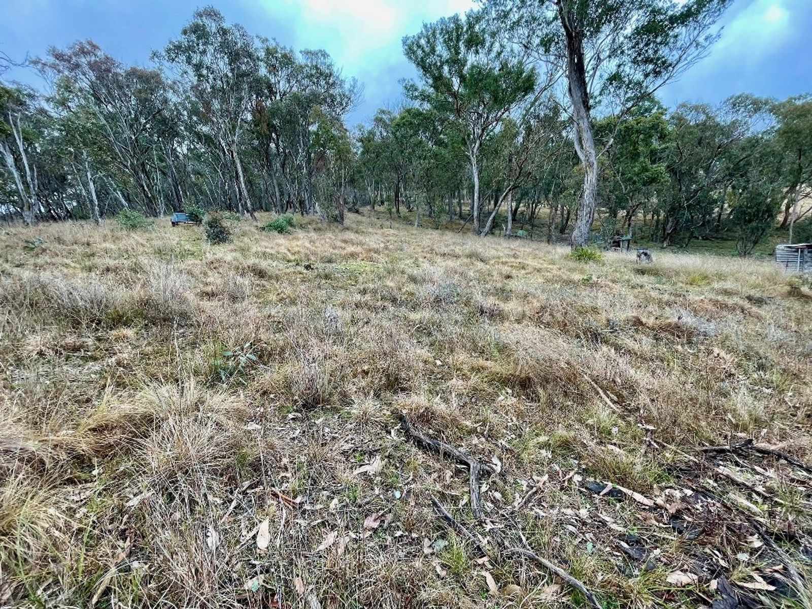 Lot 231 Wollun Road, Walcha Road NSW 2354, Walcha Road - Thumbnail 7