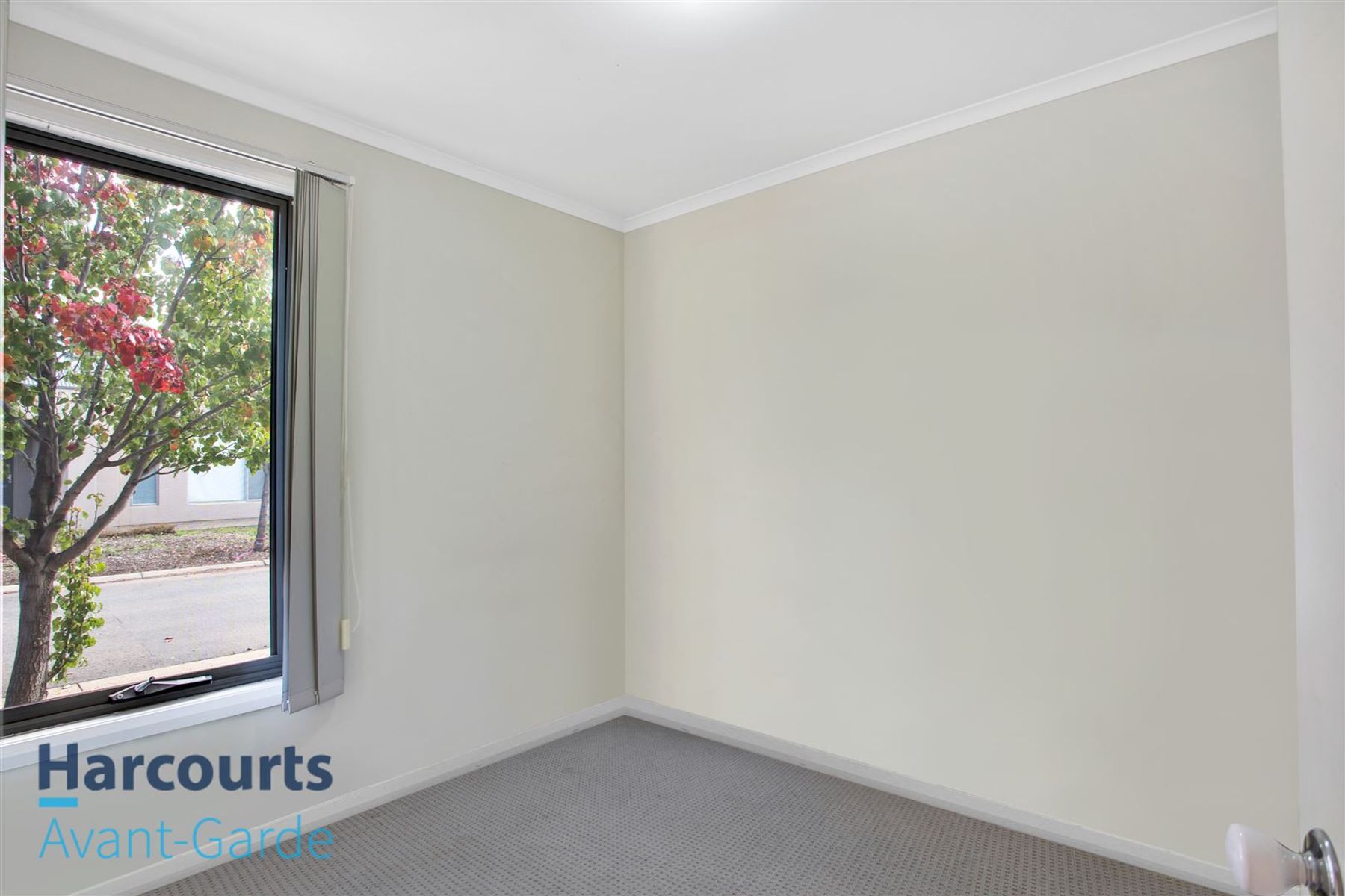 11 Mackenzie Circuit, Mawson Lakes, SA 5095, Mawson Lakes - Thumbnail 7