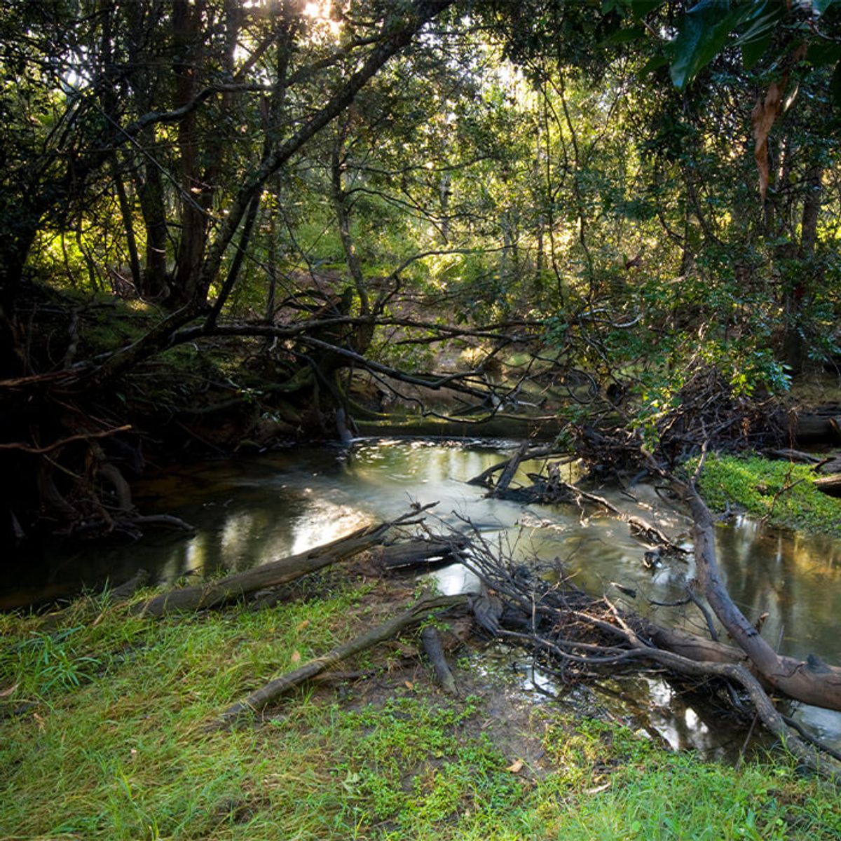 STAGE 8 ABINGTON HEIGHTS ESTATE, North Isis QLD 4660, North Isis - Thumbnail 5