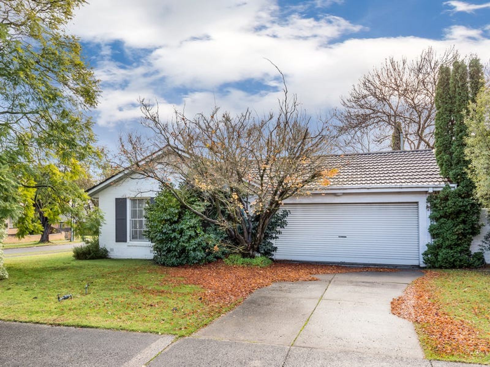 41 Wilson Road, Glen Waverley, VIC 3150, Glen Waverley - Thumbnail 8