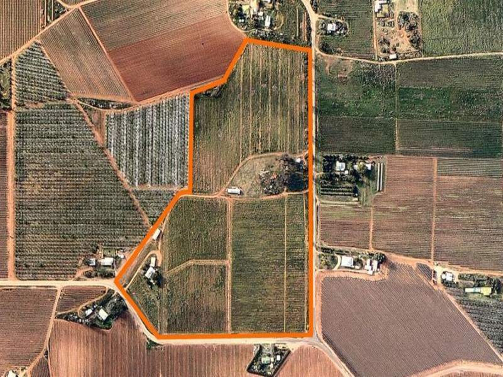 173 Dumosa Street, Red Cliffs - Thumbnail 5