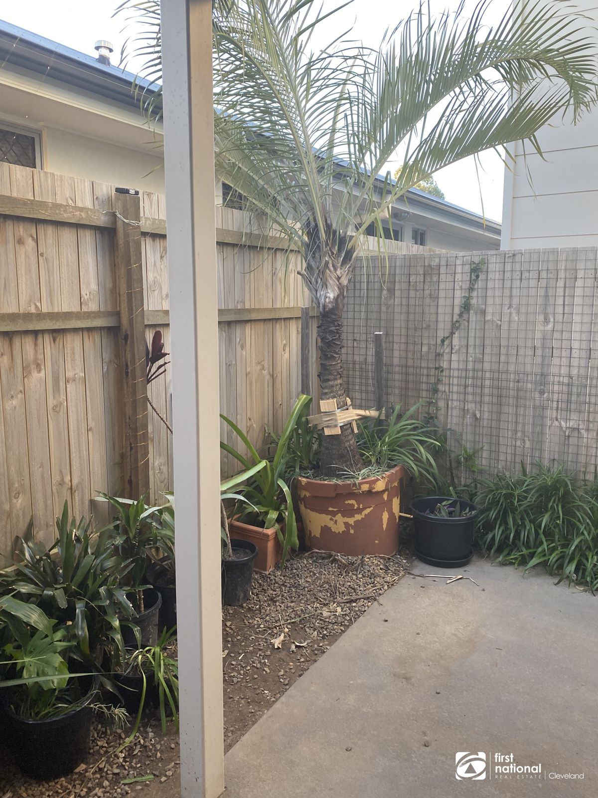17 Kalbarrie terrace, Thornlands QLD 4164, Thornlands - Thumbnail 6